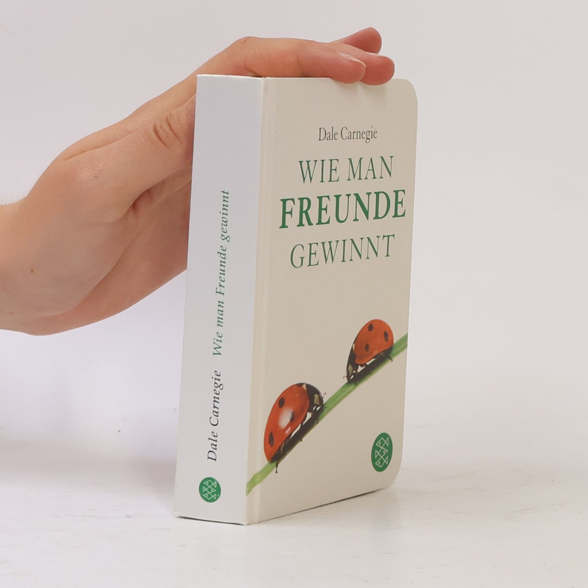 Wie man Freunde gewinnt