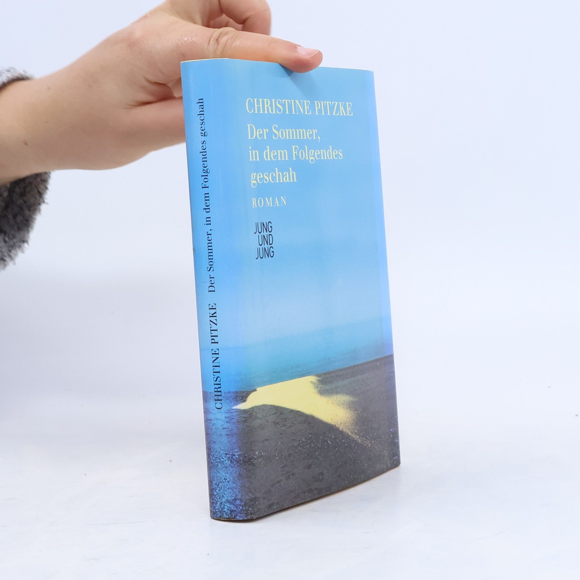 Christine Pitzke Der Sommer, in dem Folgendes geschah