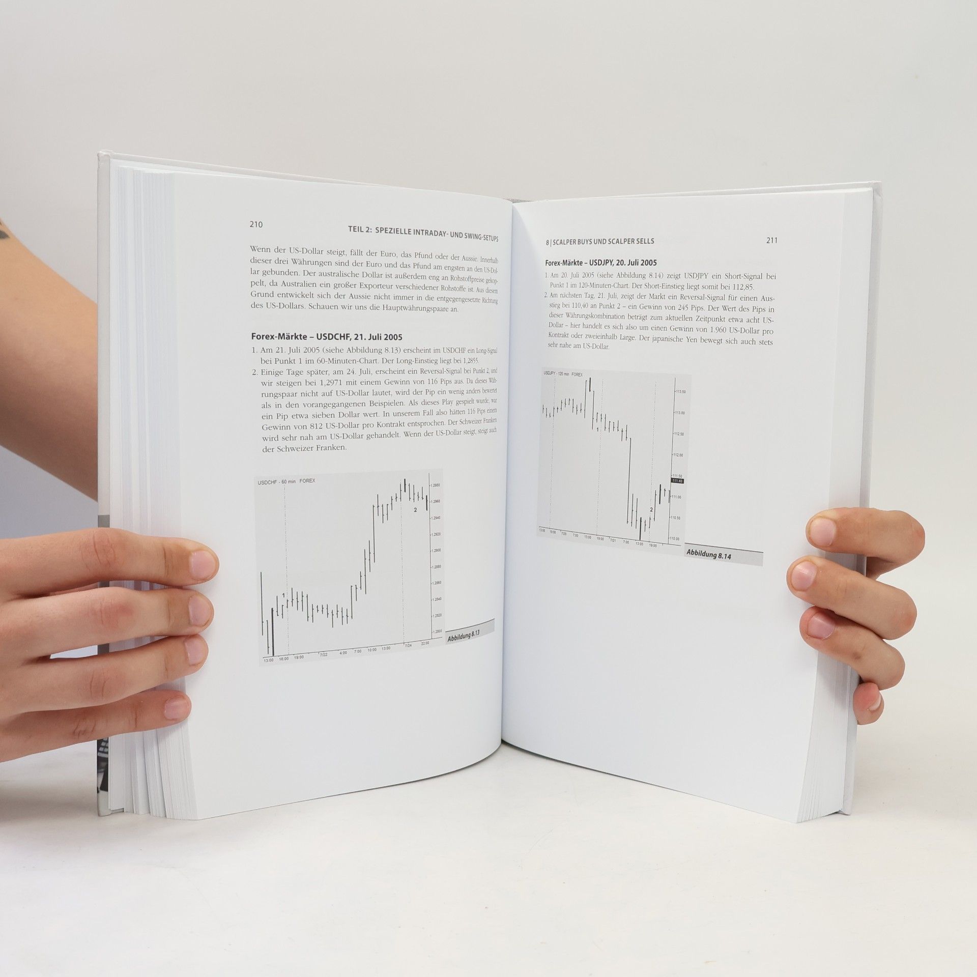 John F. Carter Das große Buch des Swing- und Daytradings