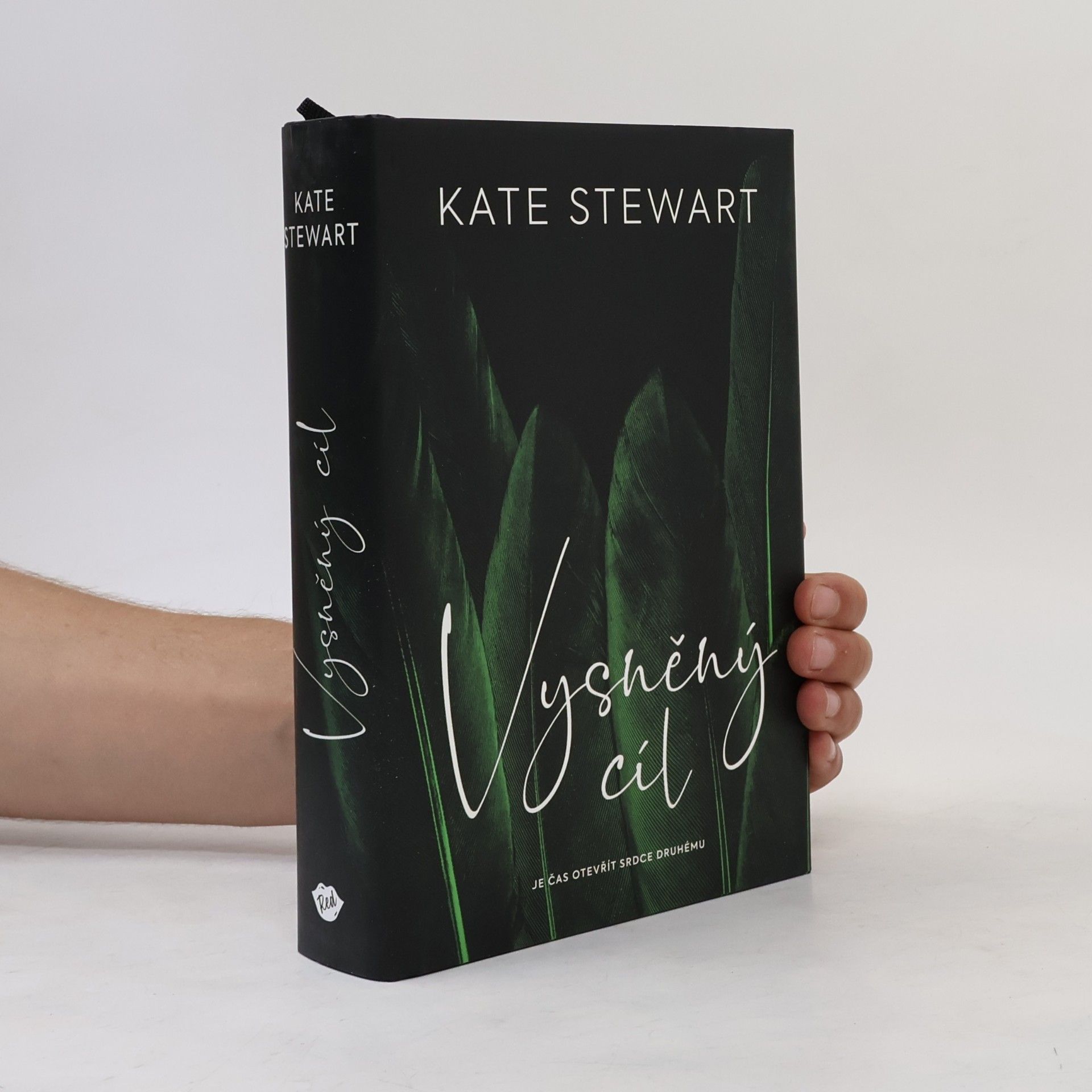 Kate Stewart Vysněný cíl. Kniha třetí