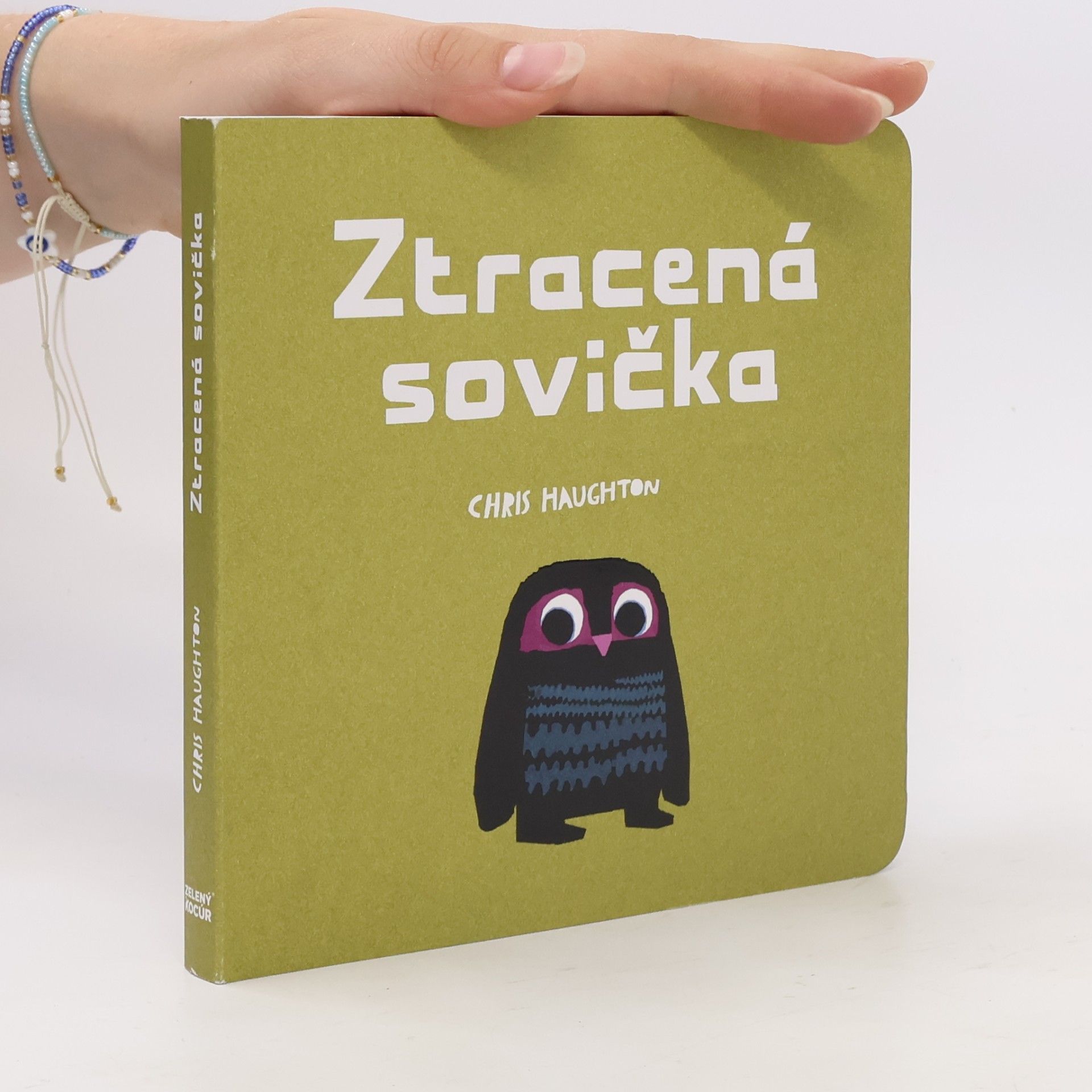 Chris Haughton Ztracená sovička