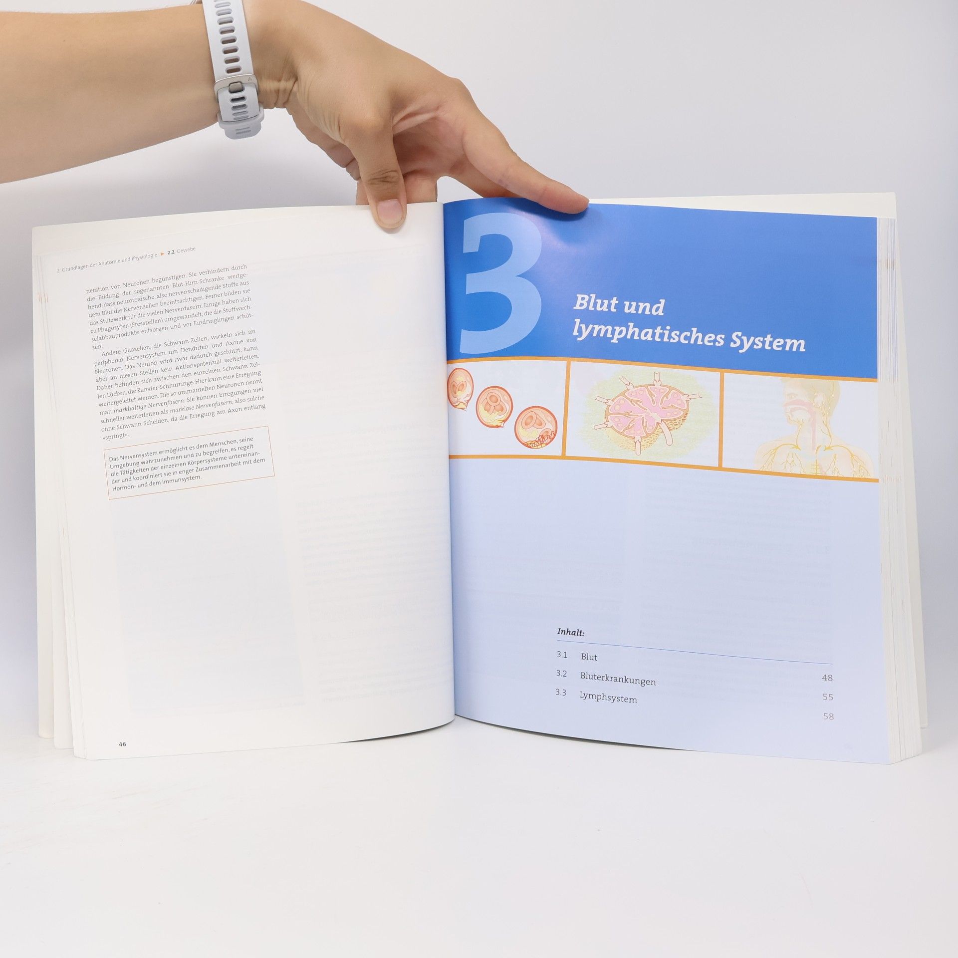 Anne Stege LPN - Lehrbuch für präklinische Notfallmedizin Band A. Anatomie und Physiologie