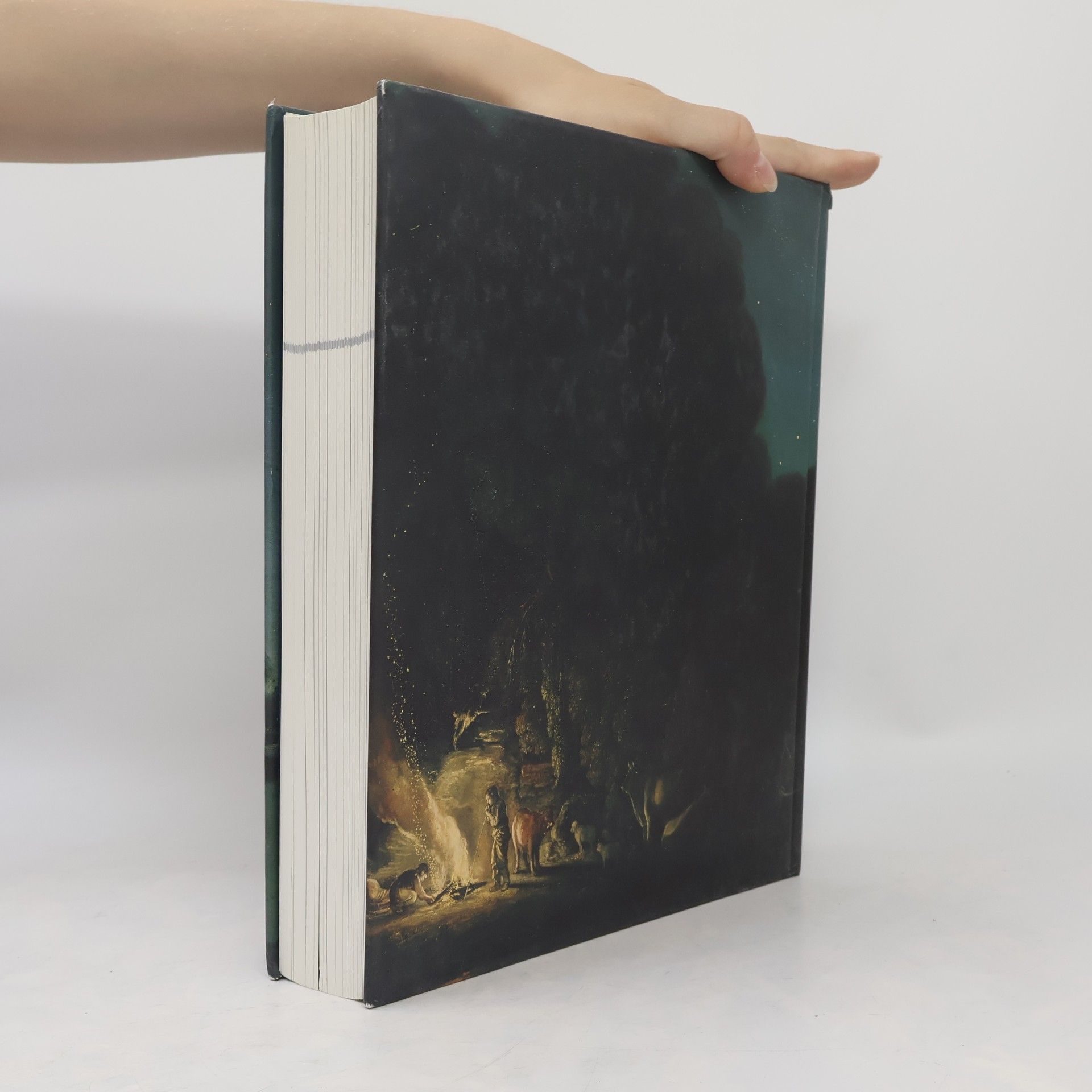 Stephanie Rosenthal Die Nacht