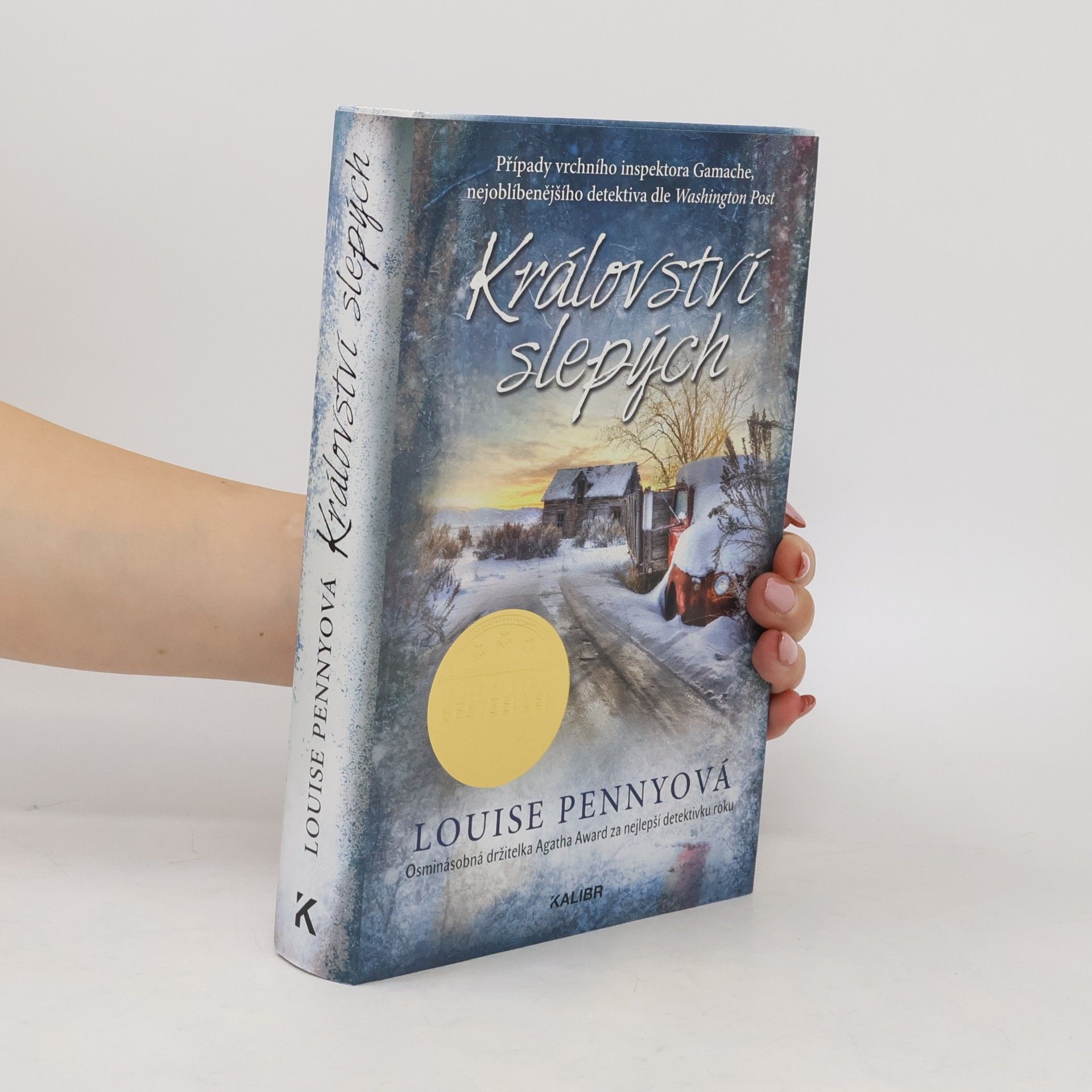 Louise Penny Království slepých