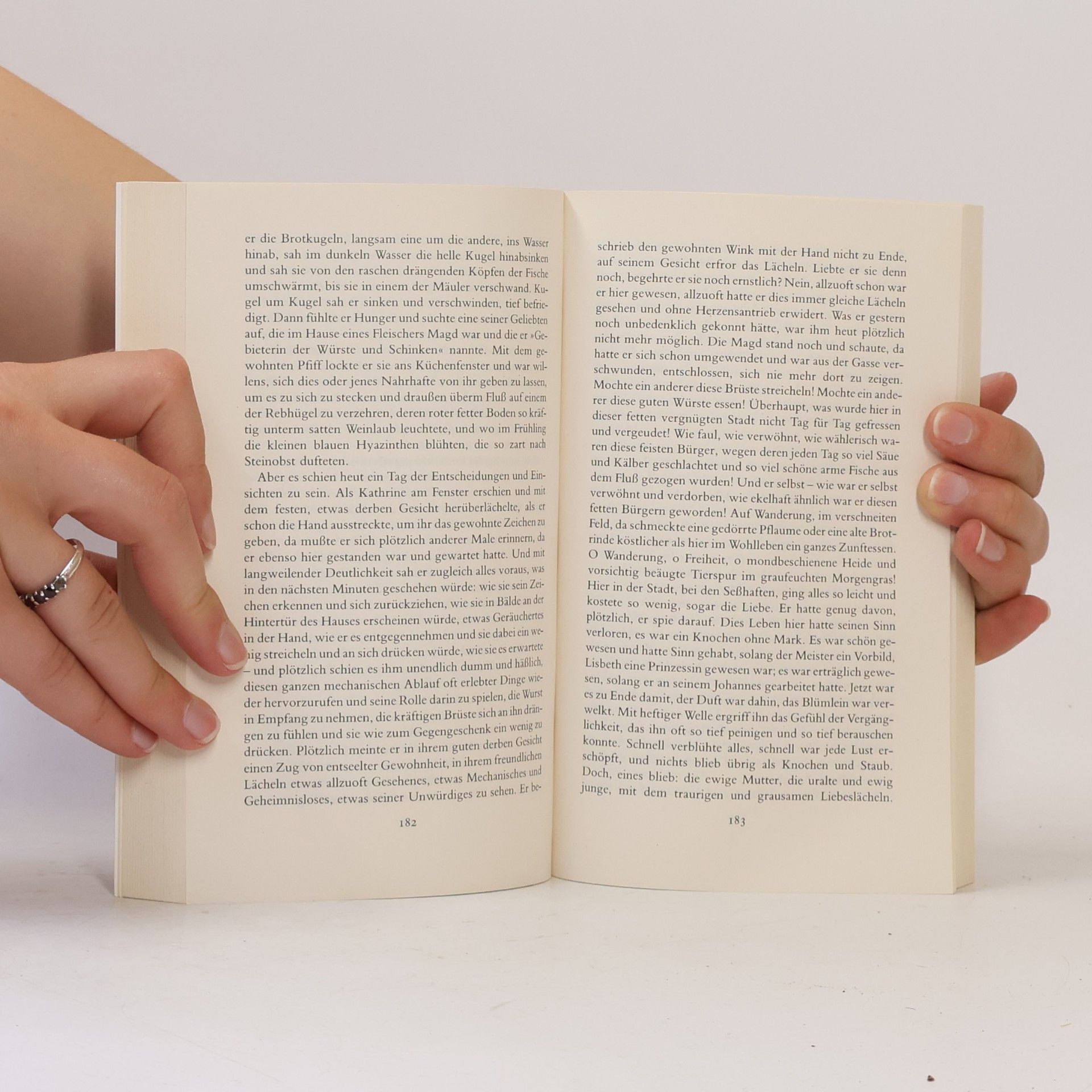Hermann Hesse Narziß und Goldmund