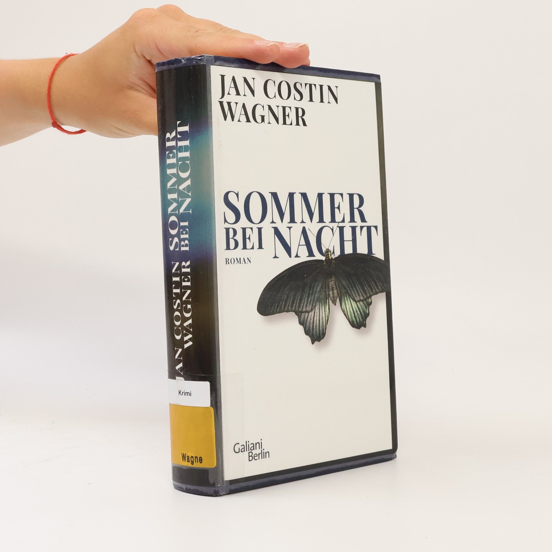 Jan Costin Wagner Sommer bei Nach