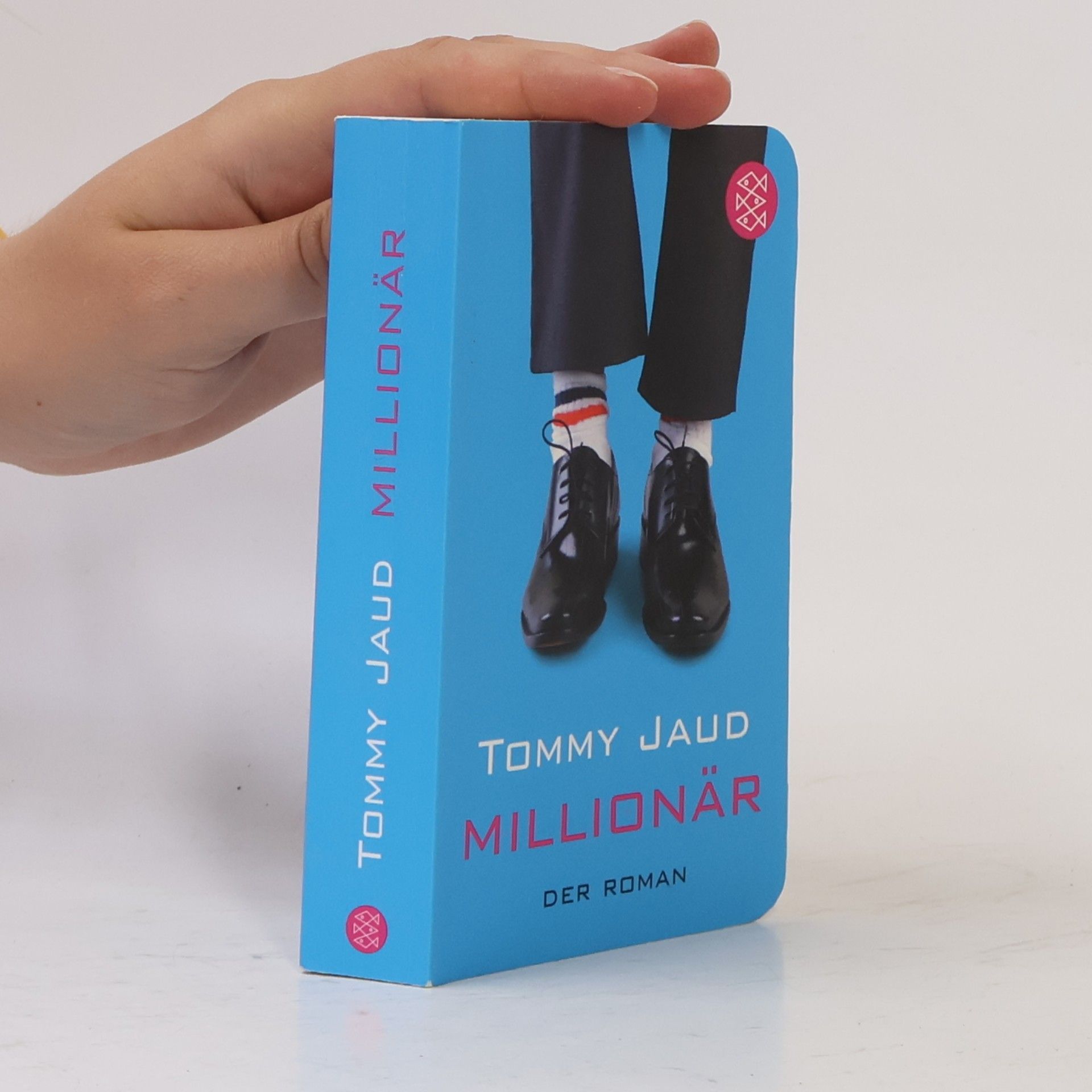 Tommy Jaud Millionär