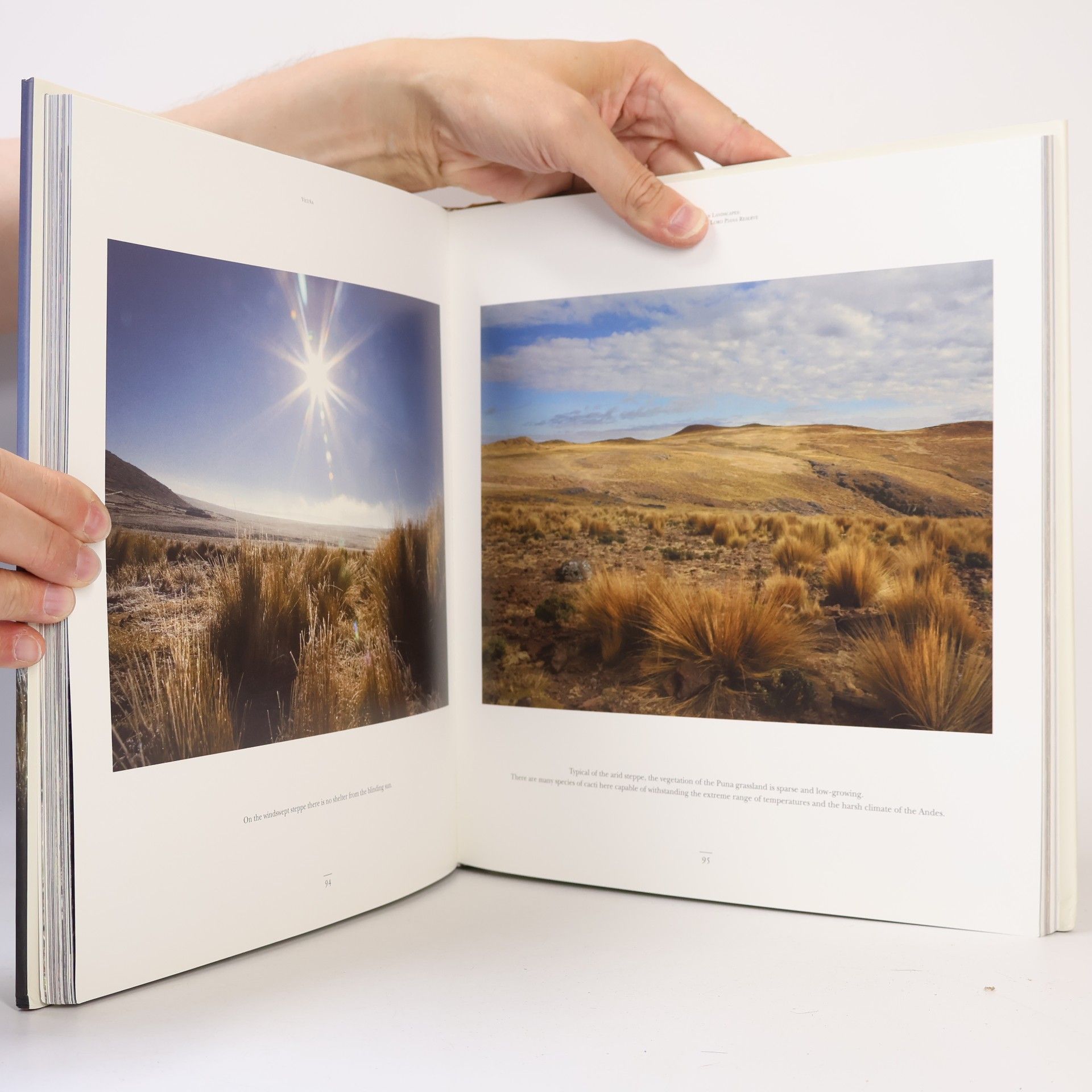 Autorenkollektiv Vicuña - The Queen of the Andes