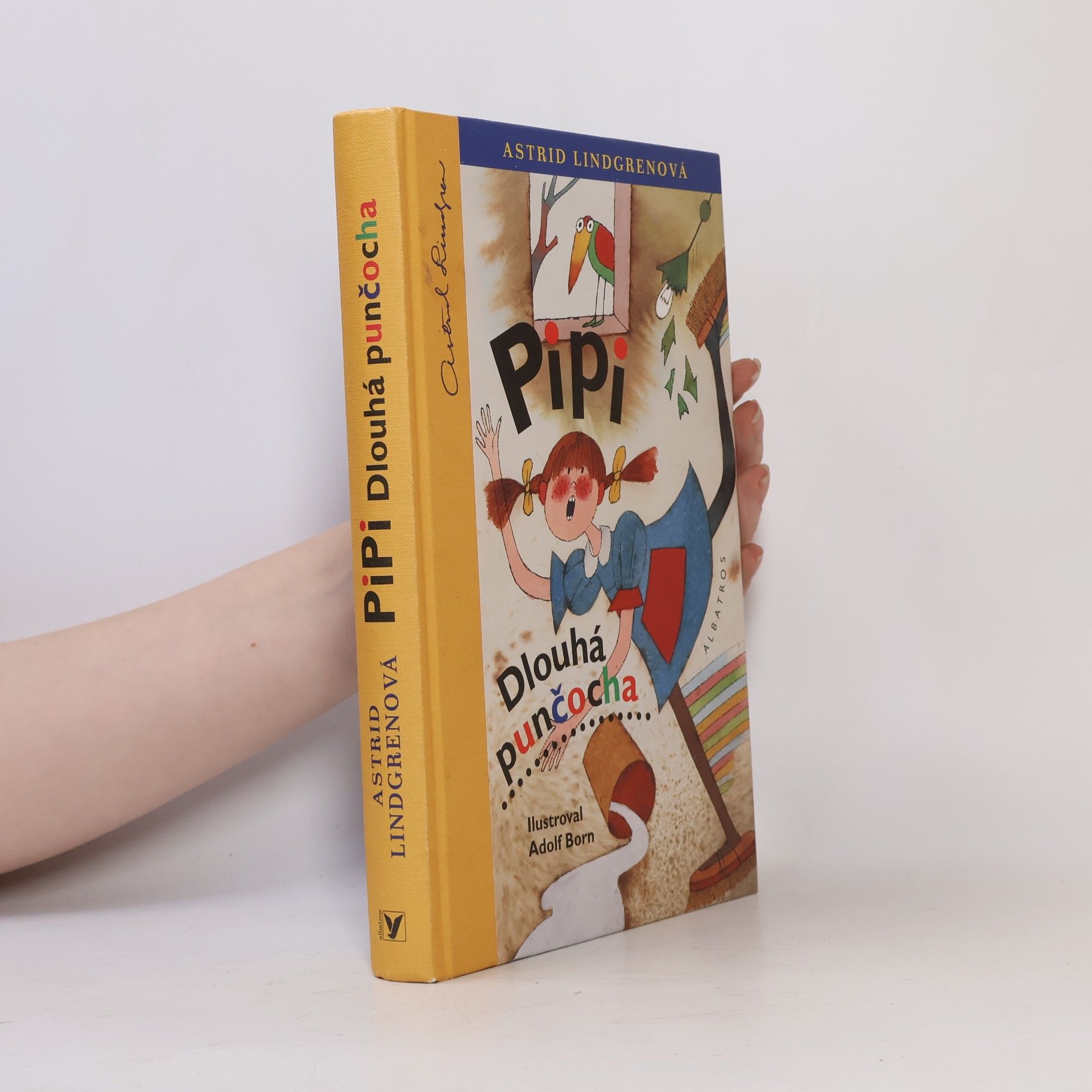 Astrid Lindgren Pipi Dlouhá punčocha