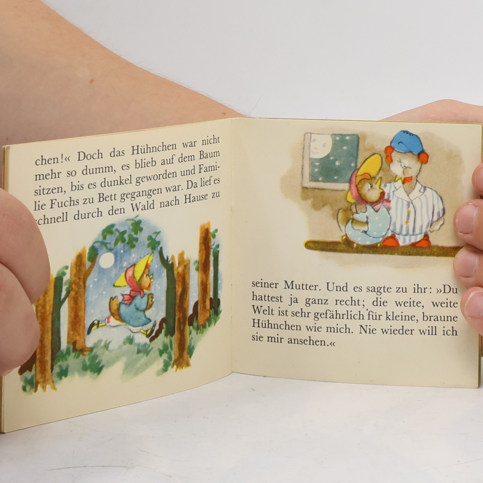 Various authors Das Braune Hühnchen und die weite, weite Welt