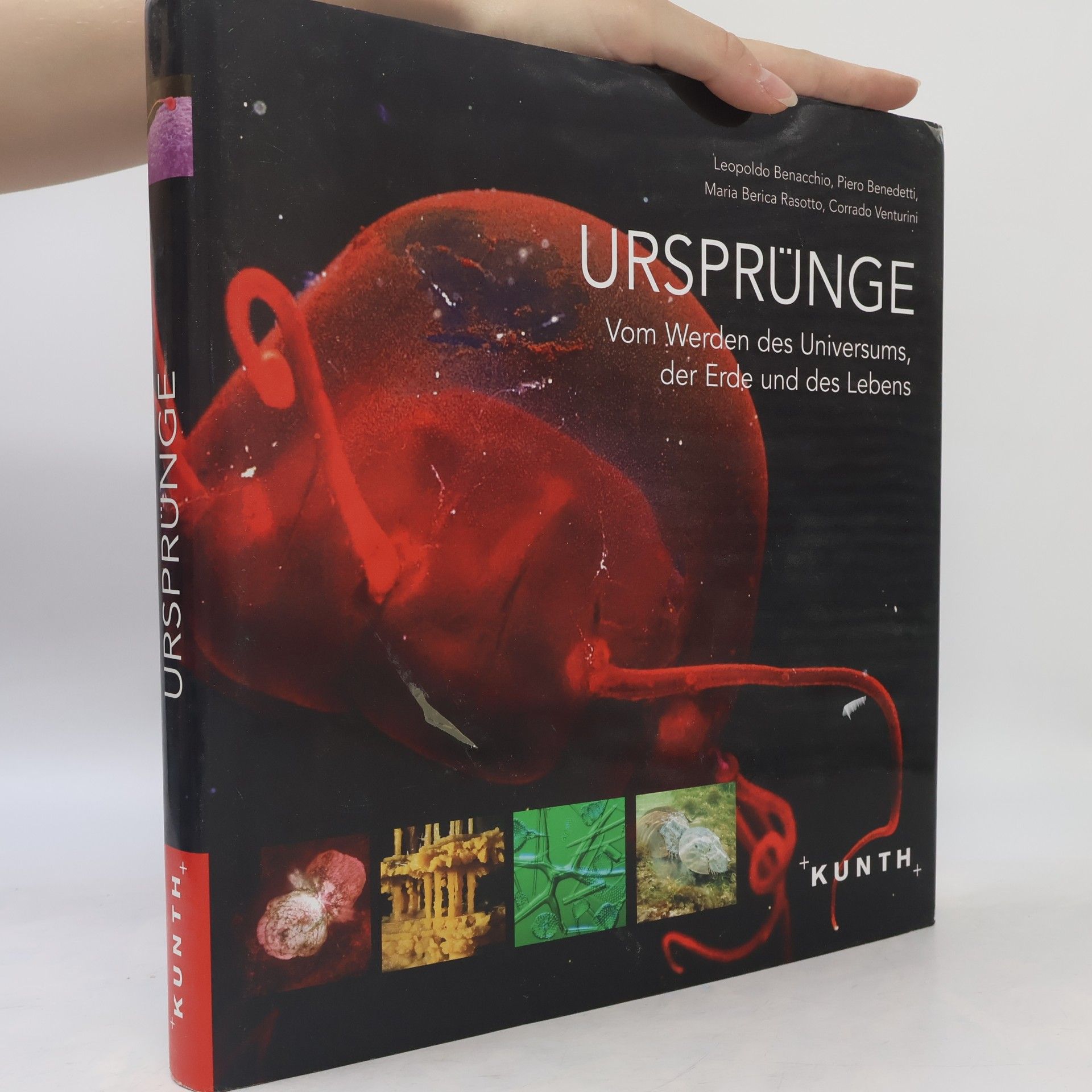 Ursprünge
