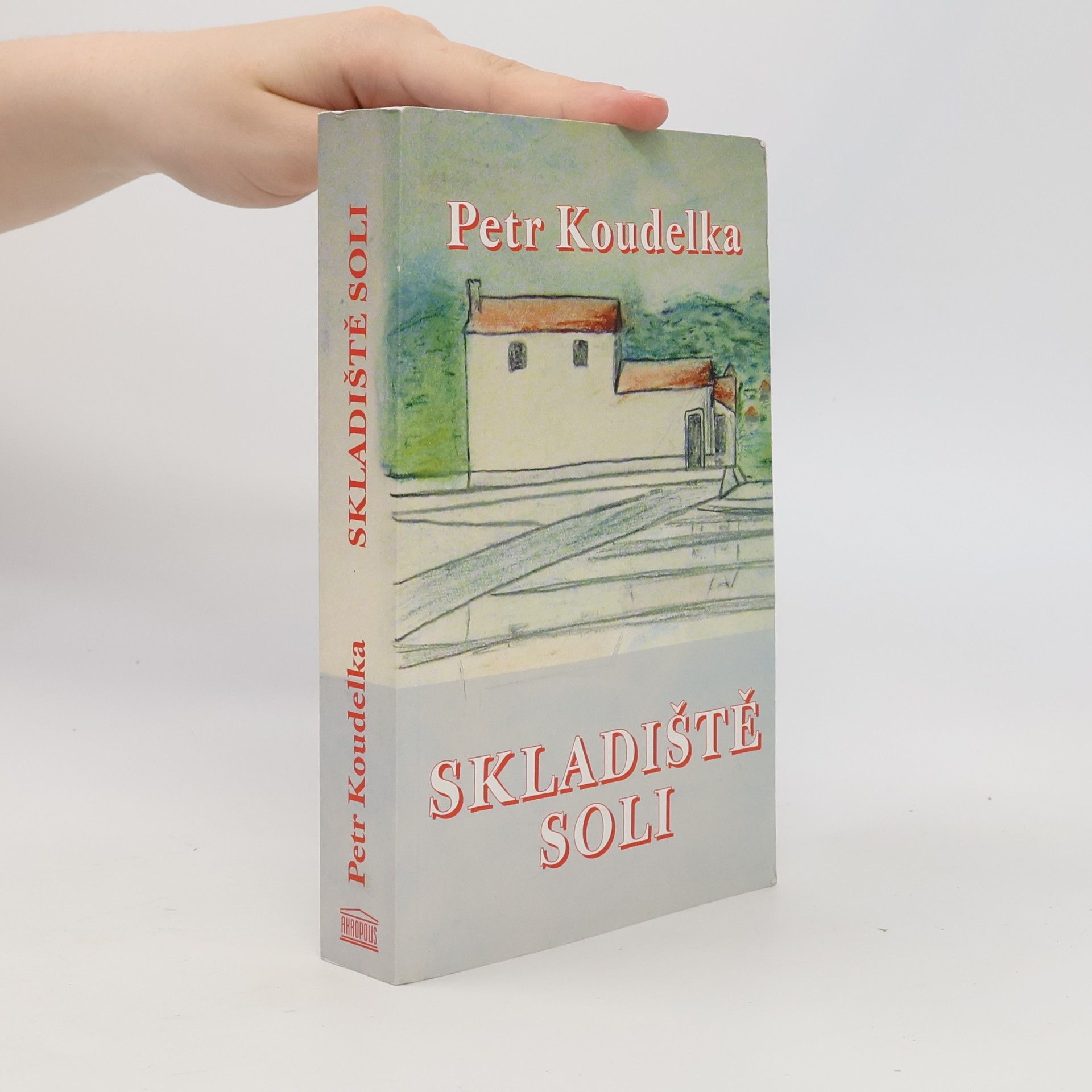 Petr Koudelka Skladiště soli