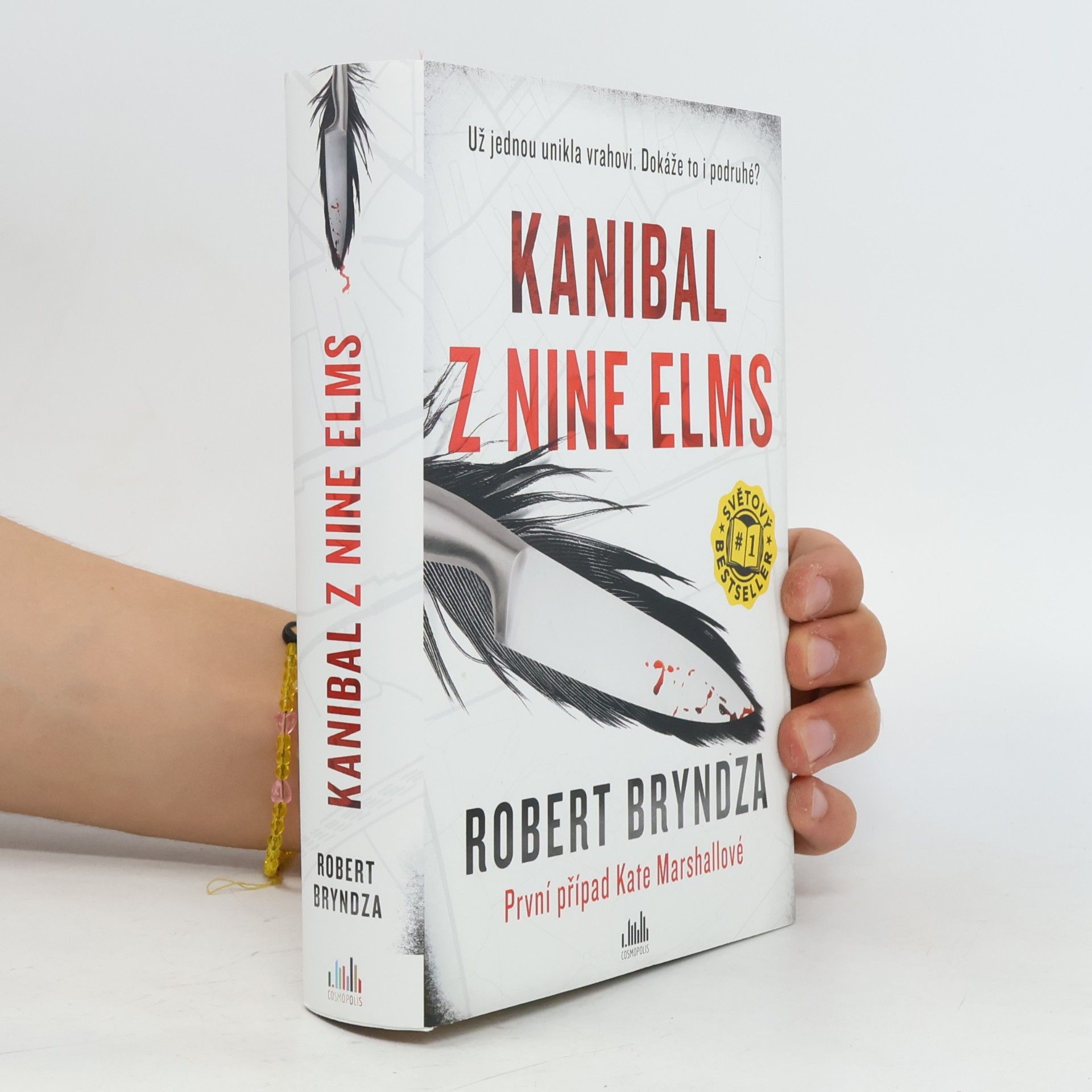Robert Bryndza Kanibal z Nine Elms