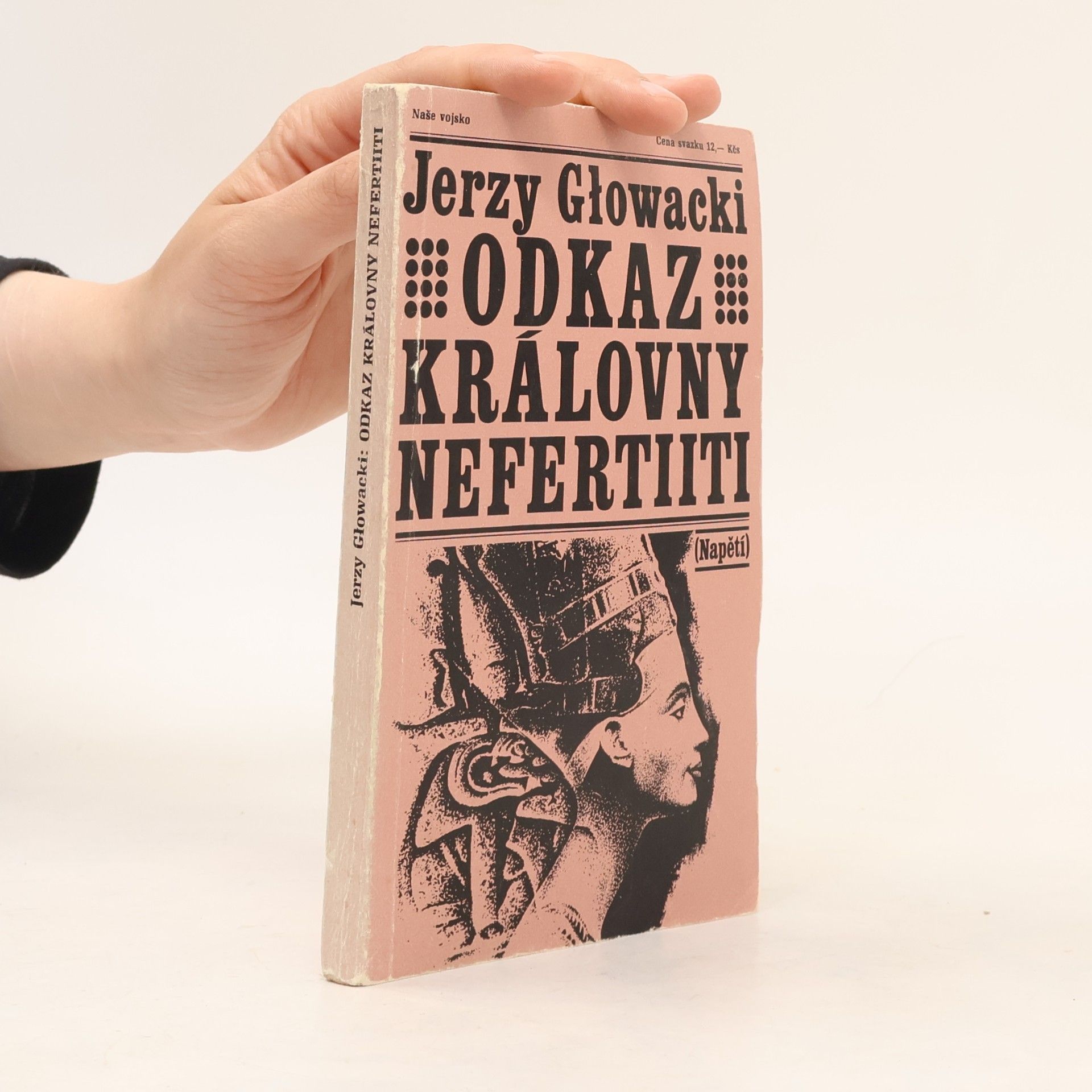 František Nechvátal Odkaz královny Nefertiiti