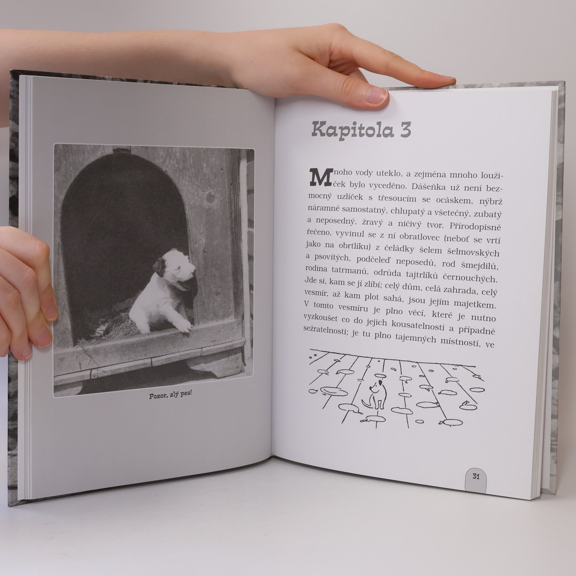 Karel Čapek Dášeňka, čili, život štěněte