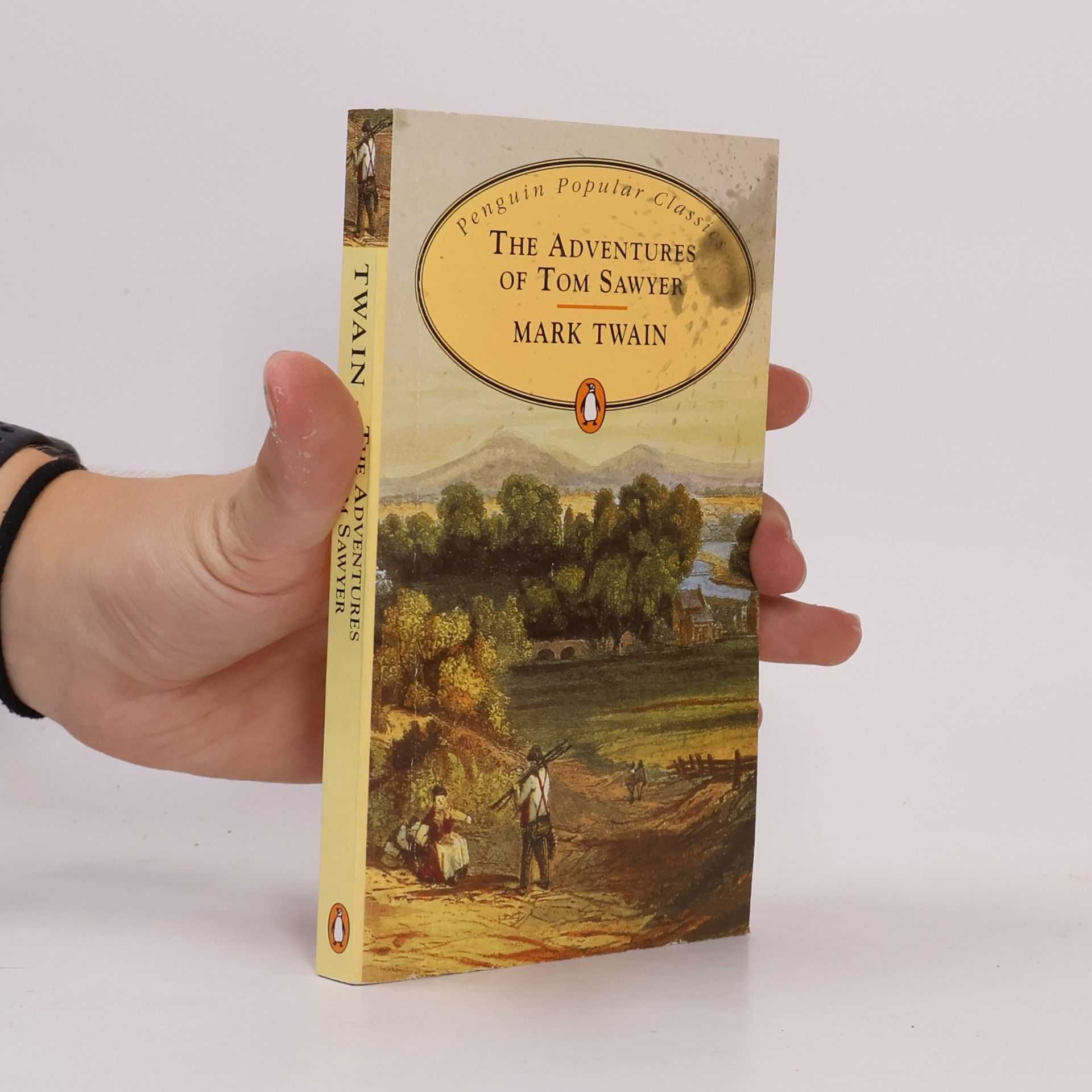 Mark Twain The adventures of Tom Sawyer