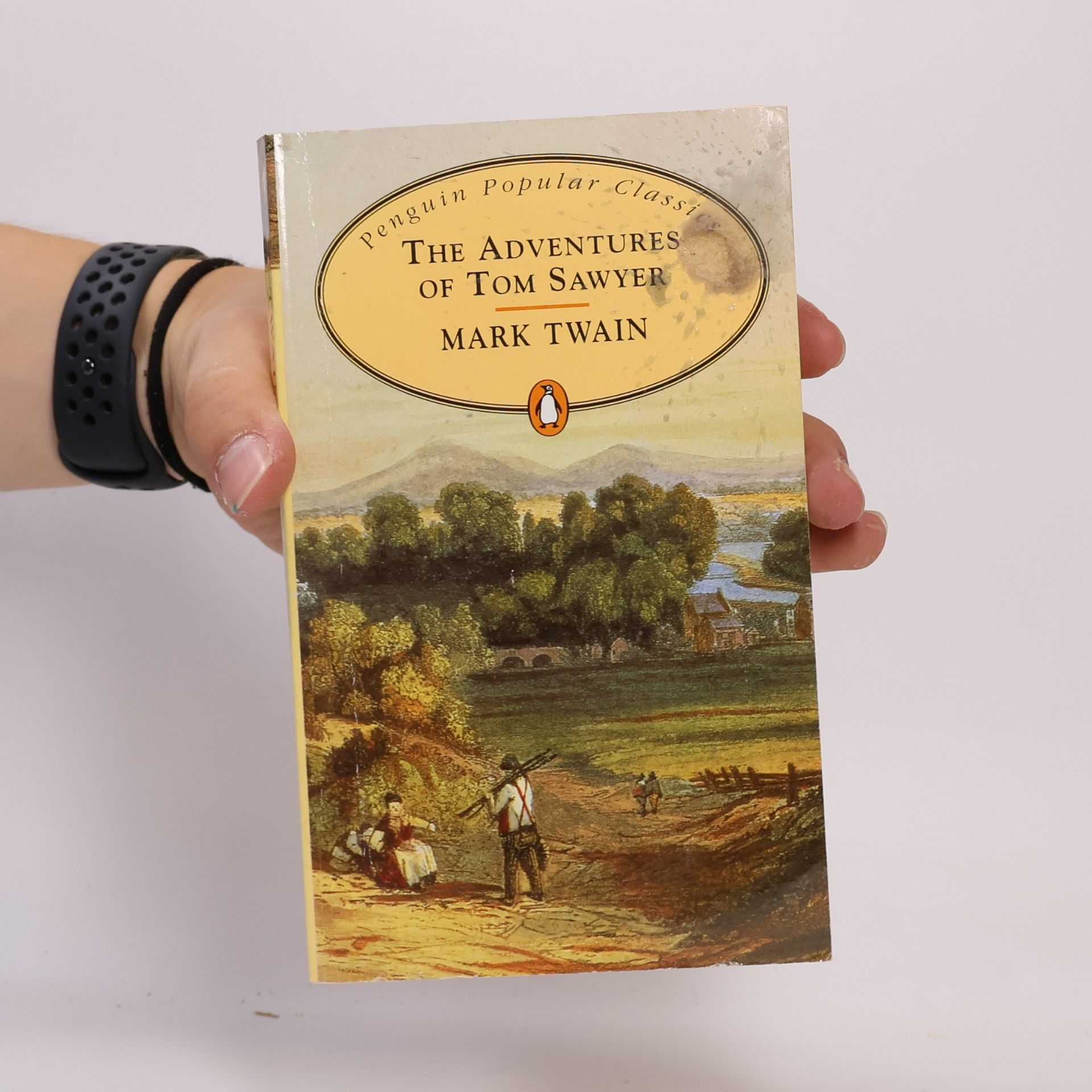 Mark Twain The adventures of Tom Sawyer