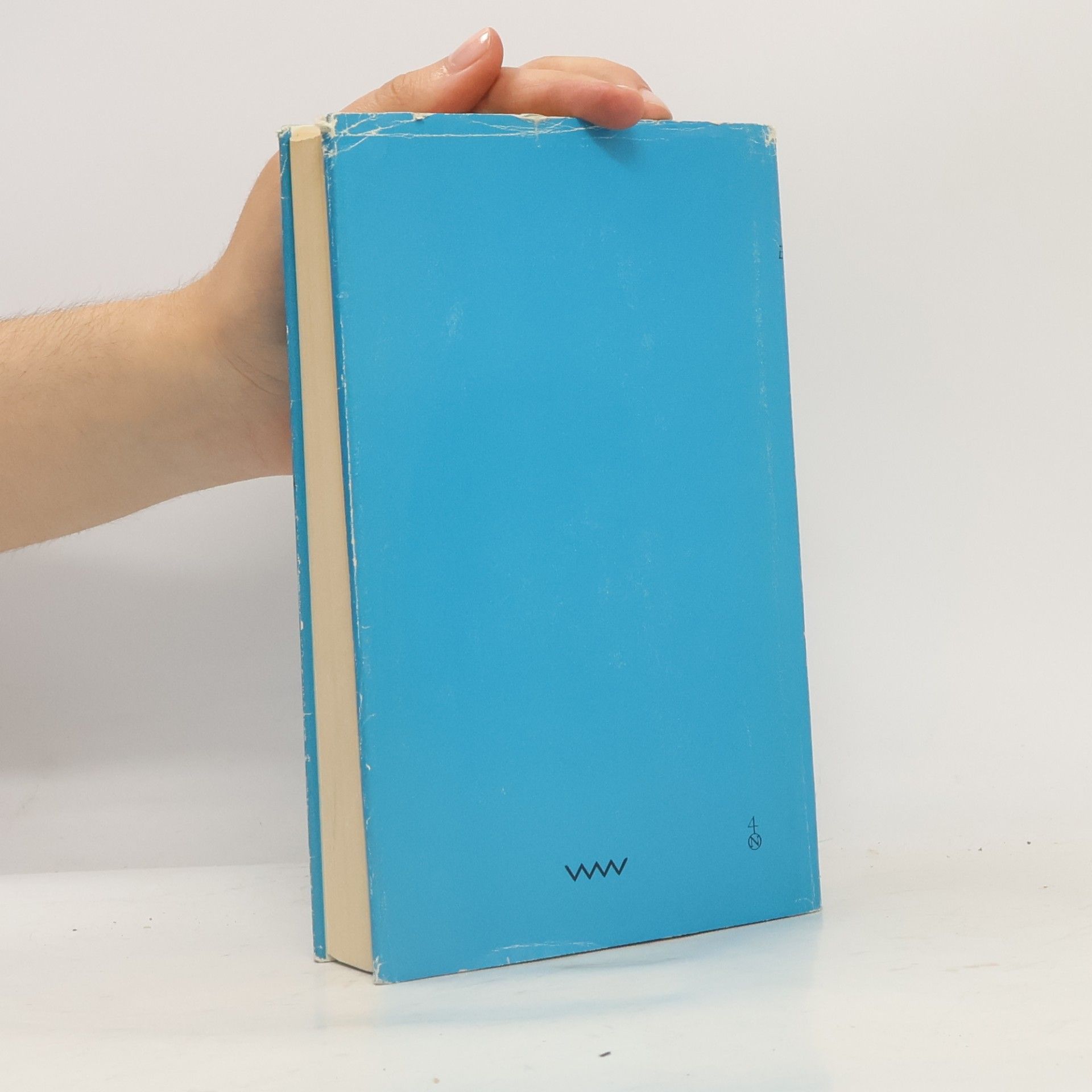 Kurt Tucholsky Ein Pyrenäenbuch