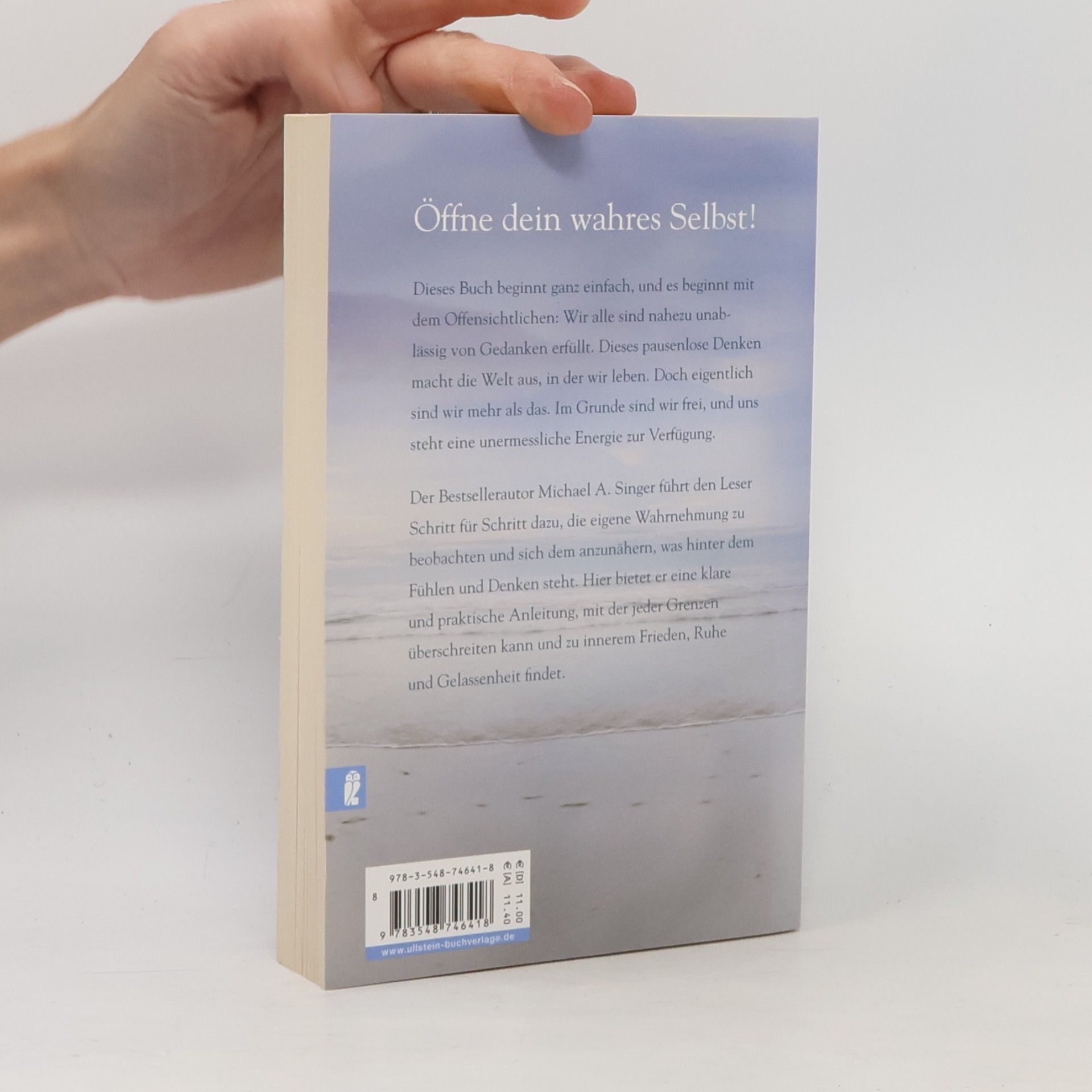 Michael Alan Singer Die Seele will frei sein