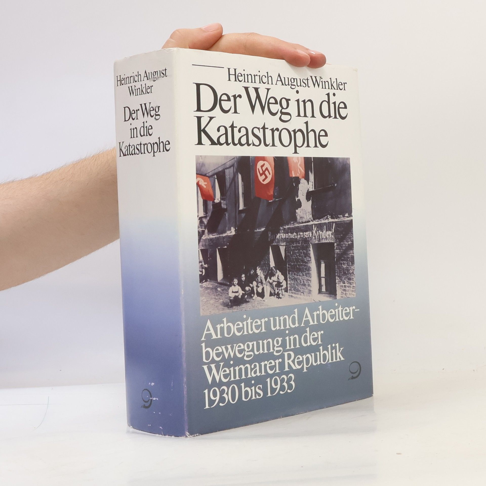 Der Weg In Die Katastrophe