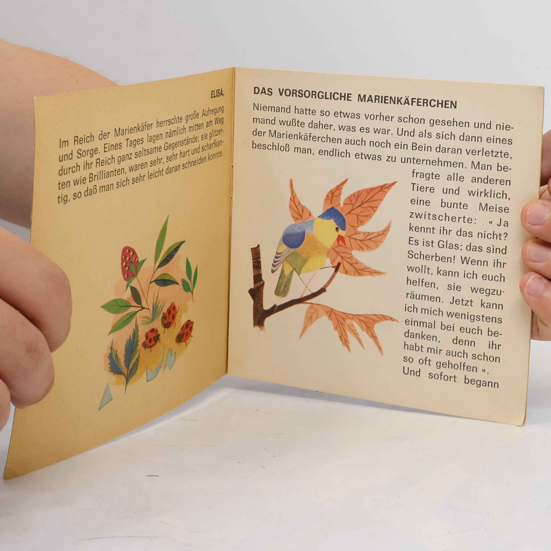 Various authors Elisa das vorsorgliche Marienkäferchen