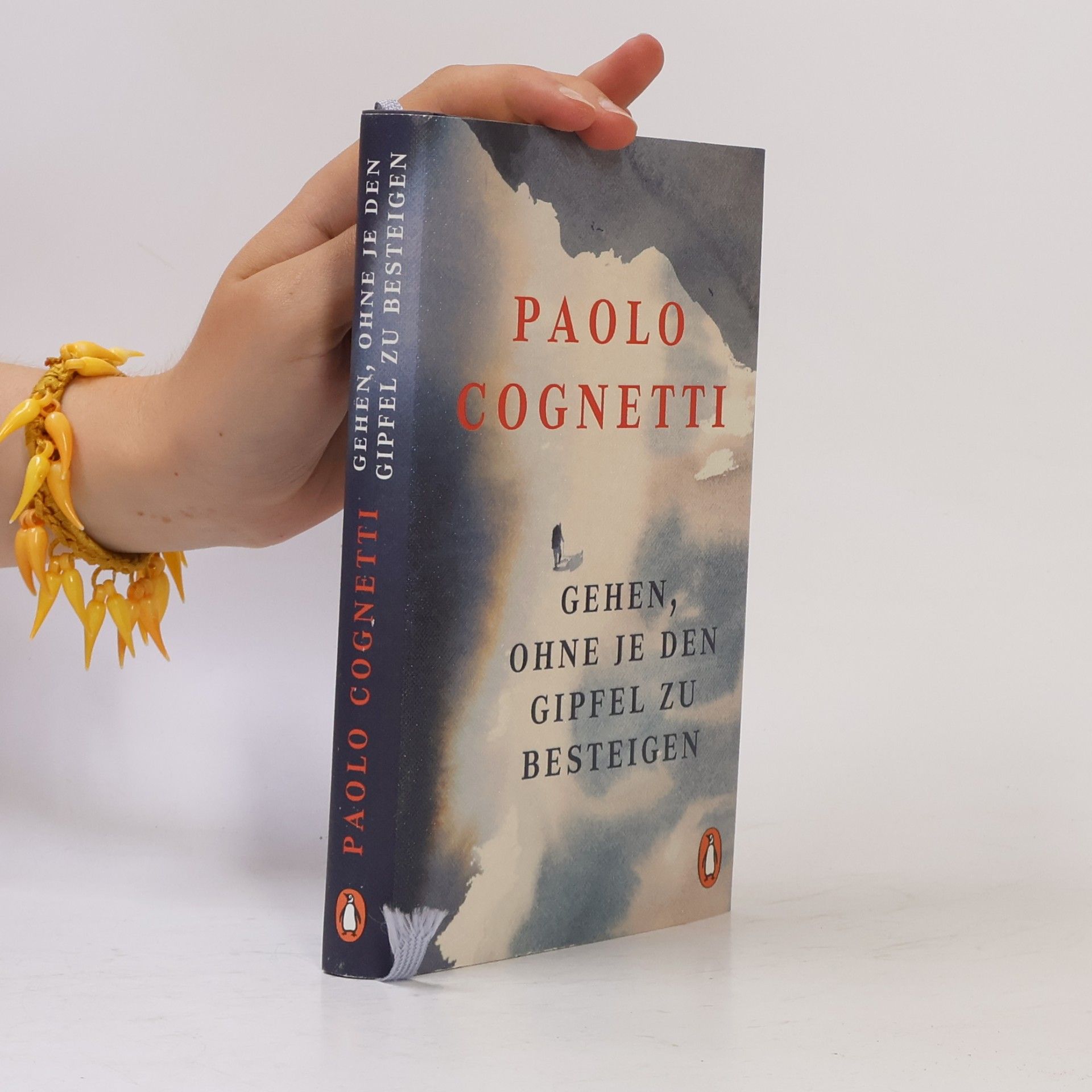 Paolo Cognetti Gehen, ohne je den Gipfel zu besteigen