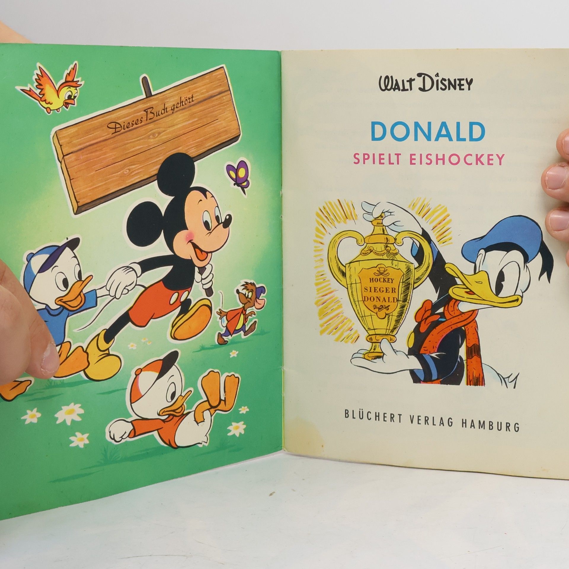 Autorenkollektiv Donald Spielt Eishockey 35