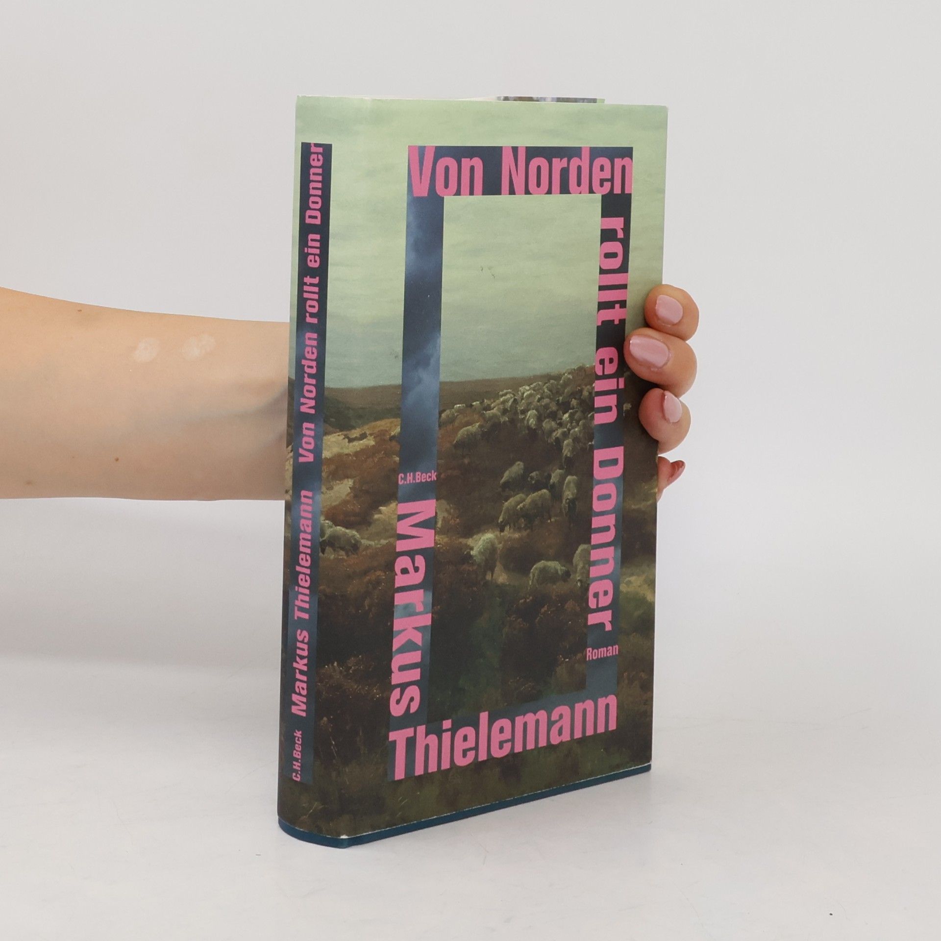 Markus Thielemann Von Norden rollt ein Donner