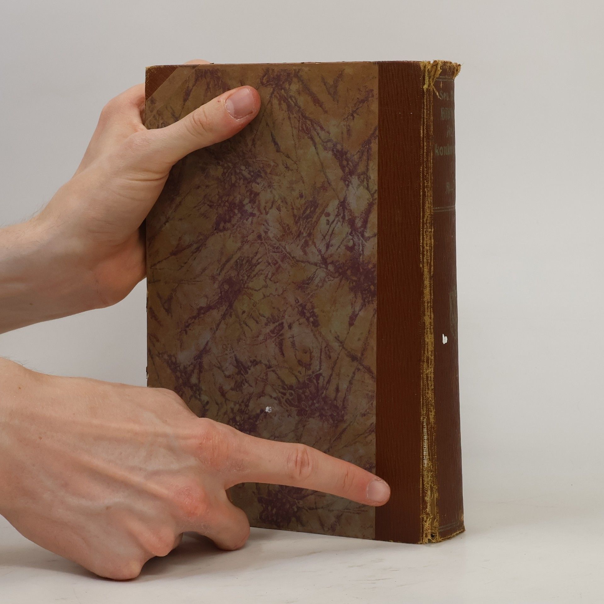 Severin Lueg Biblische Realkonkordanz 1. A-J