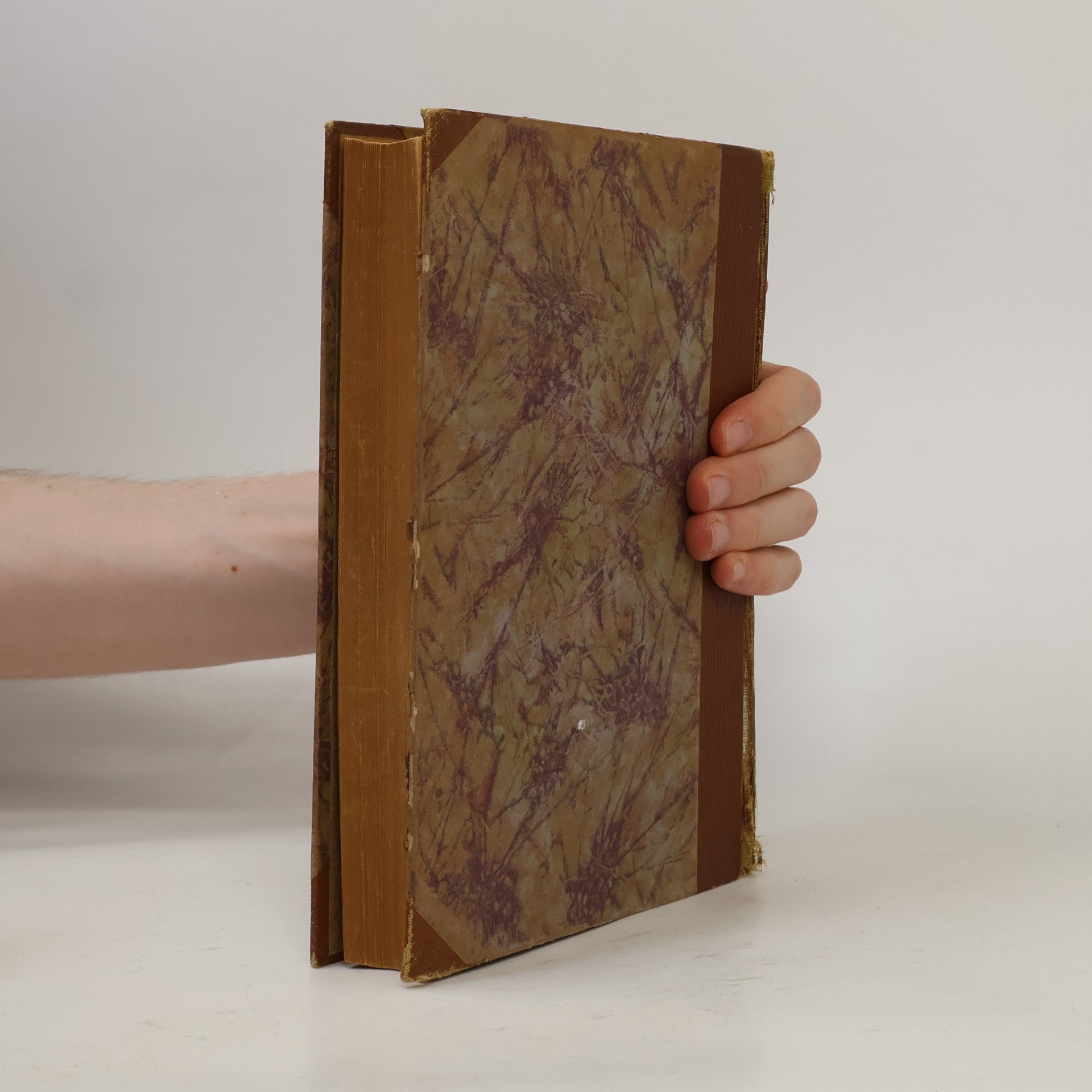 Severin Lueg Biblische Realkonkordanz 1. A-J