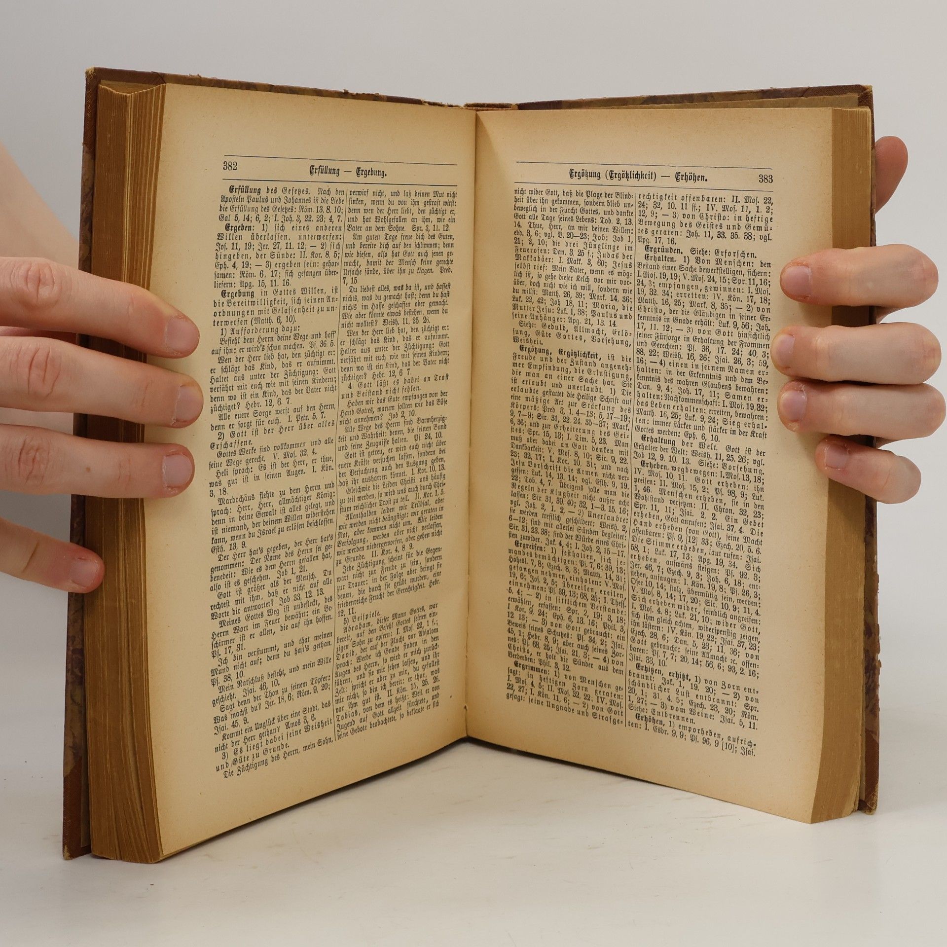 Severin Lueg Biblische Realkonkordanz 1. A-J