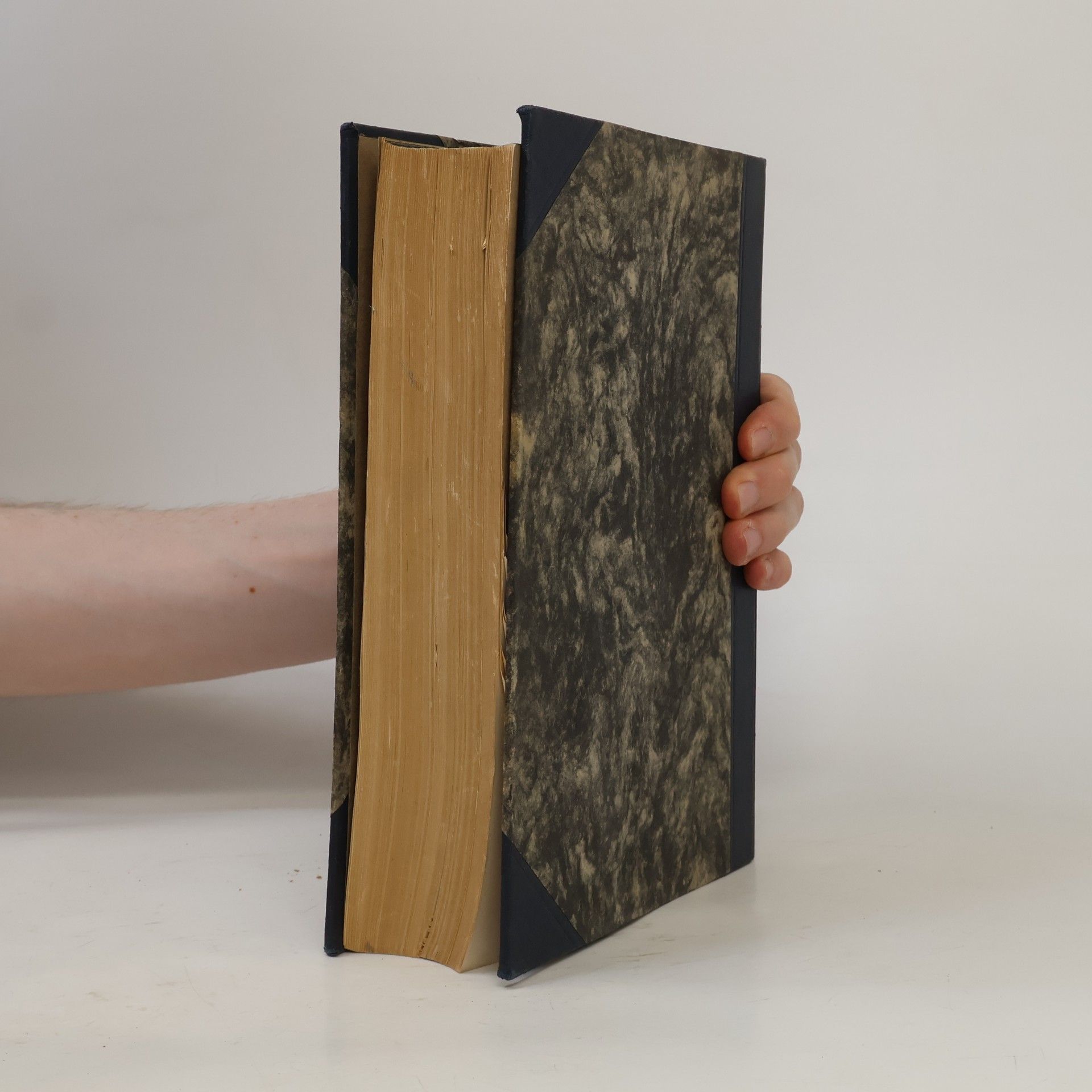 Kurt Jagow Politisches Handwörterbuch. Zweiter Band. L - Z