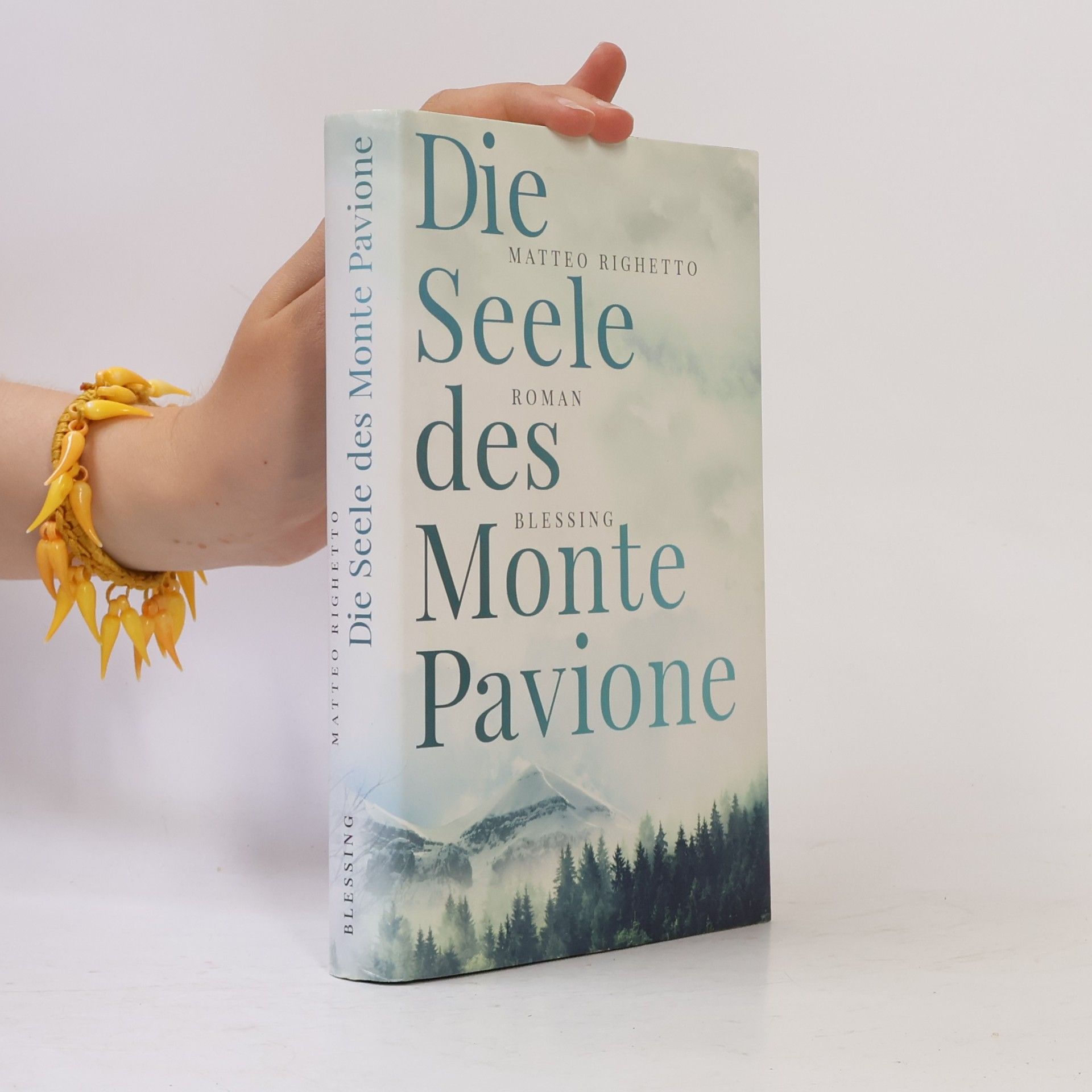 Matteo Righetto Die Seele des Monte Pavione