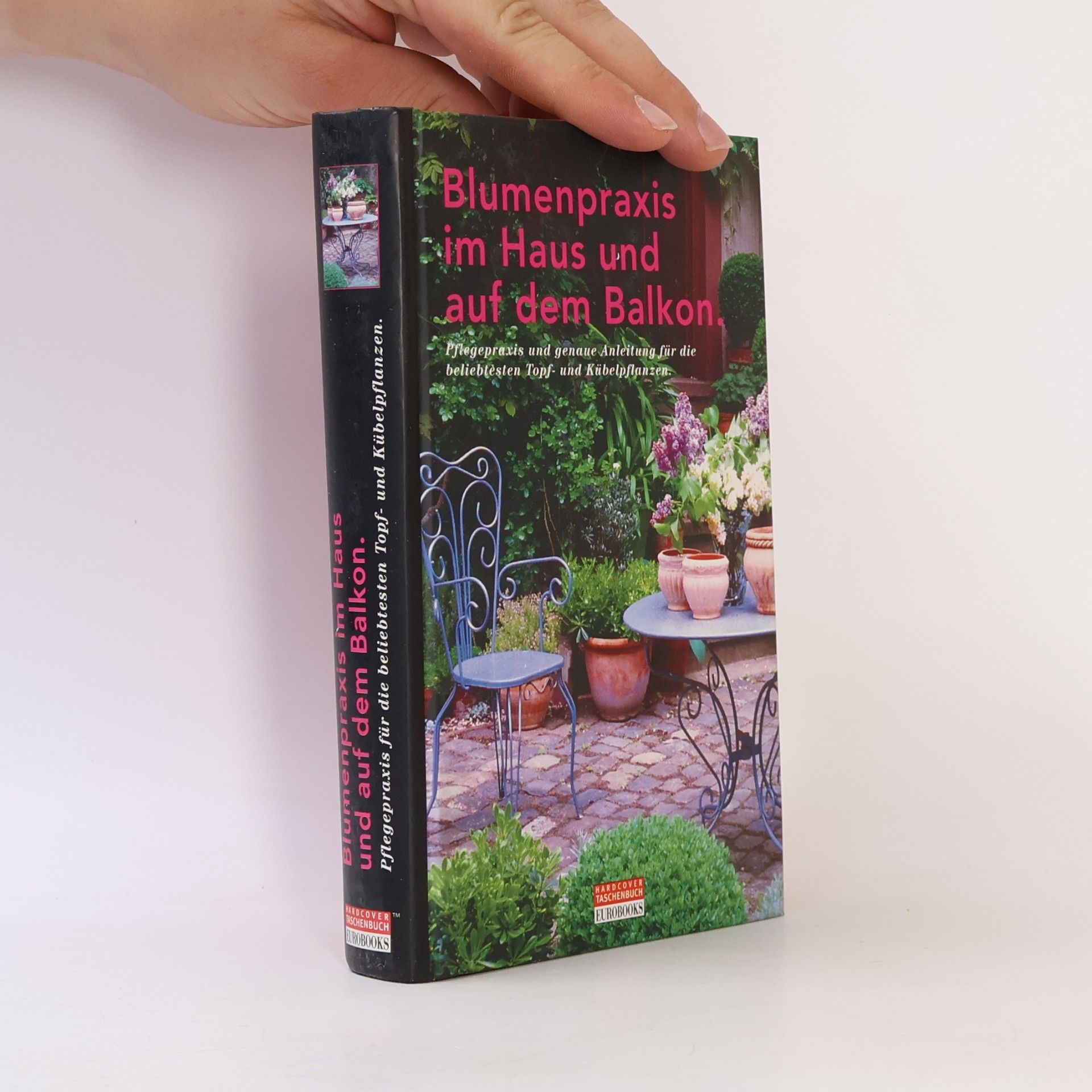 Autorenkollektiv Blumenpraxis im Haus und auf dem Balkon