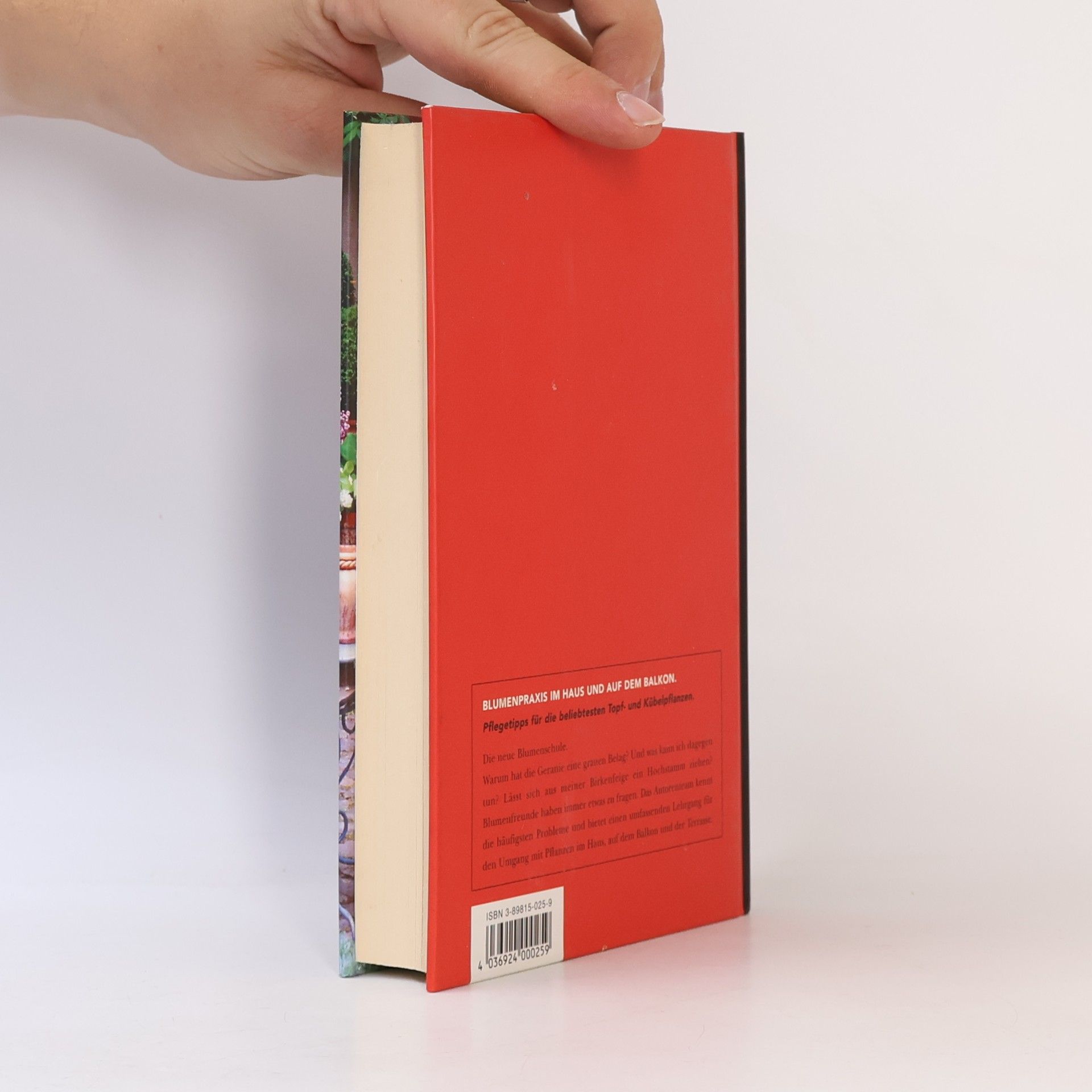 Autores varios Blumenpraxis im Haus und auf dem Balkon