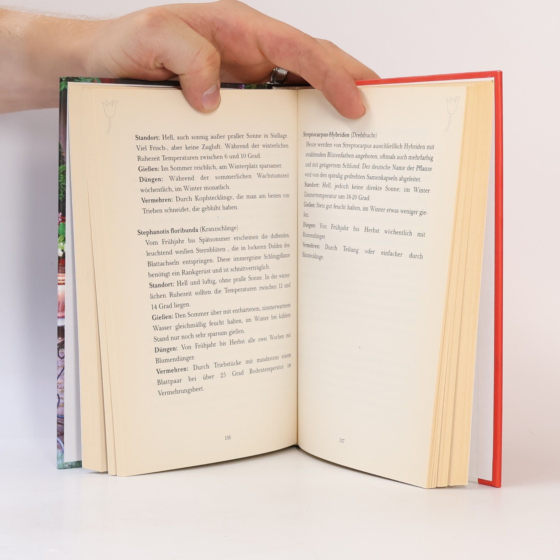 Autores varios Blumenpraxis im Haus und auf dem Balkon
