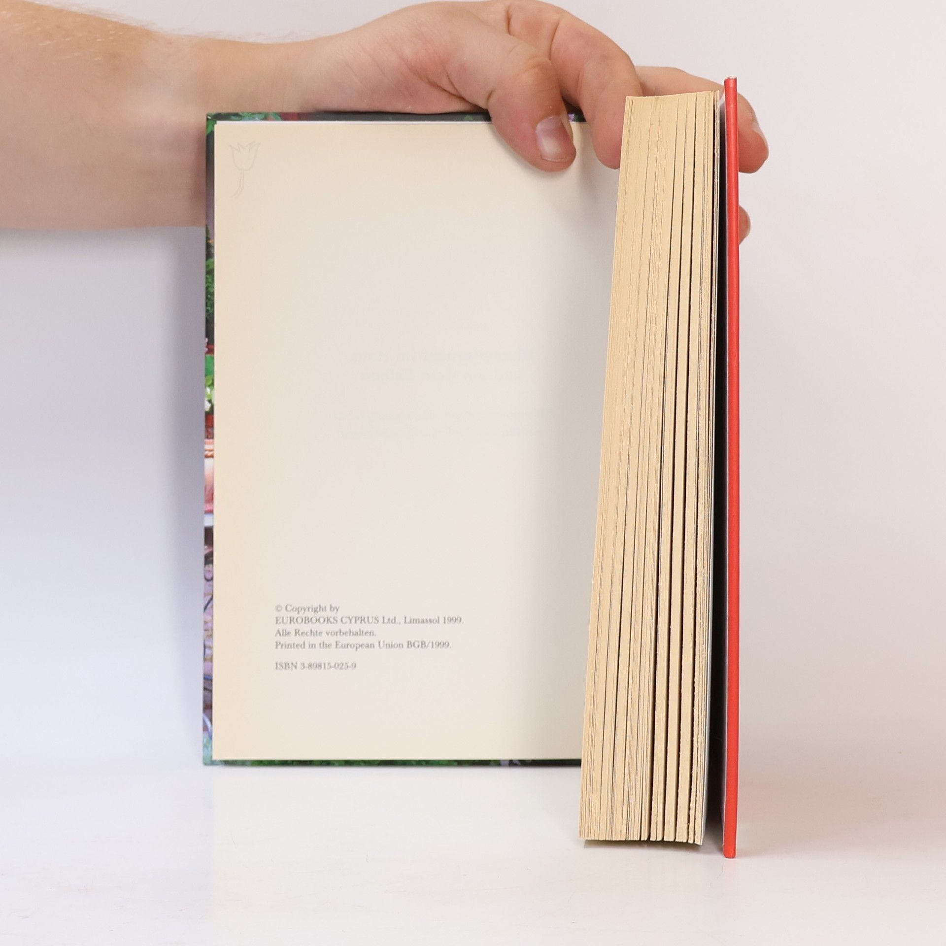 Autores varios Blumenpraxis im Haus und auf dem Balkon