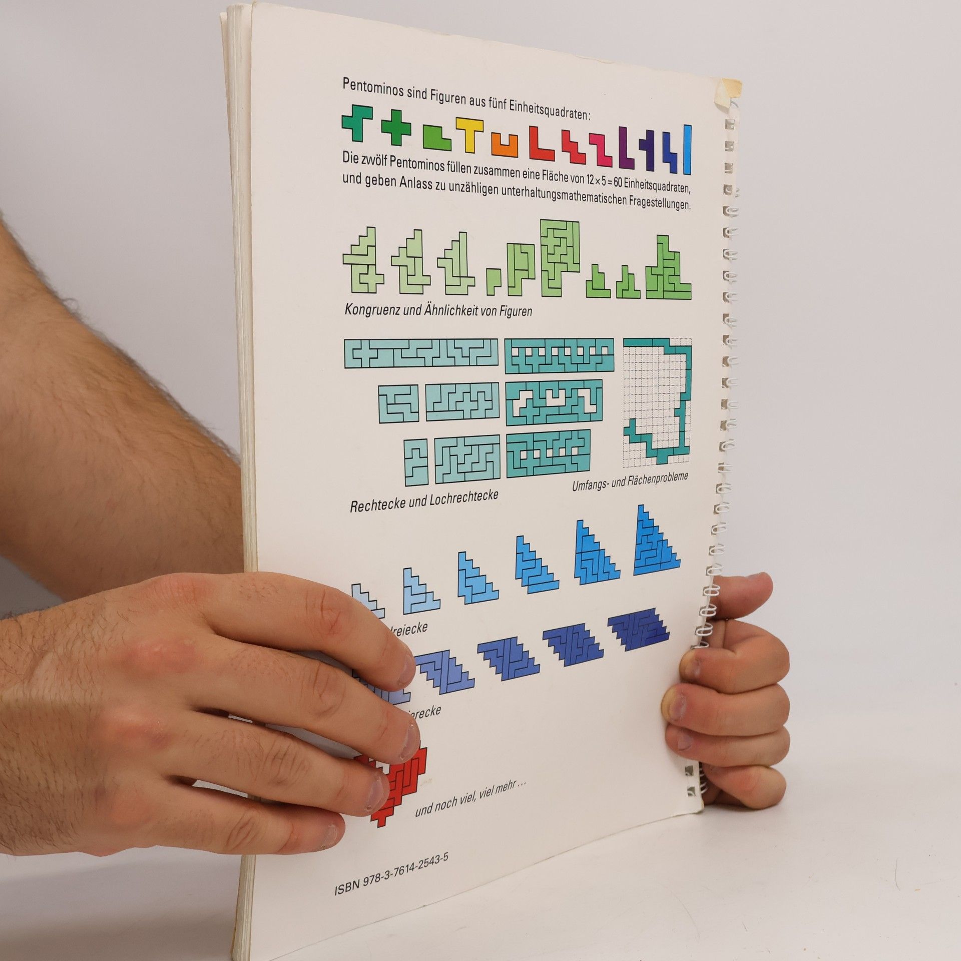 Maria Koth Das Pentomino-Buch