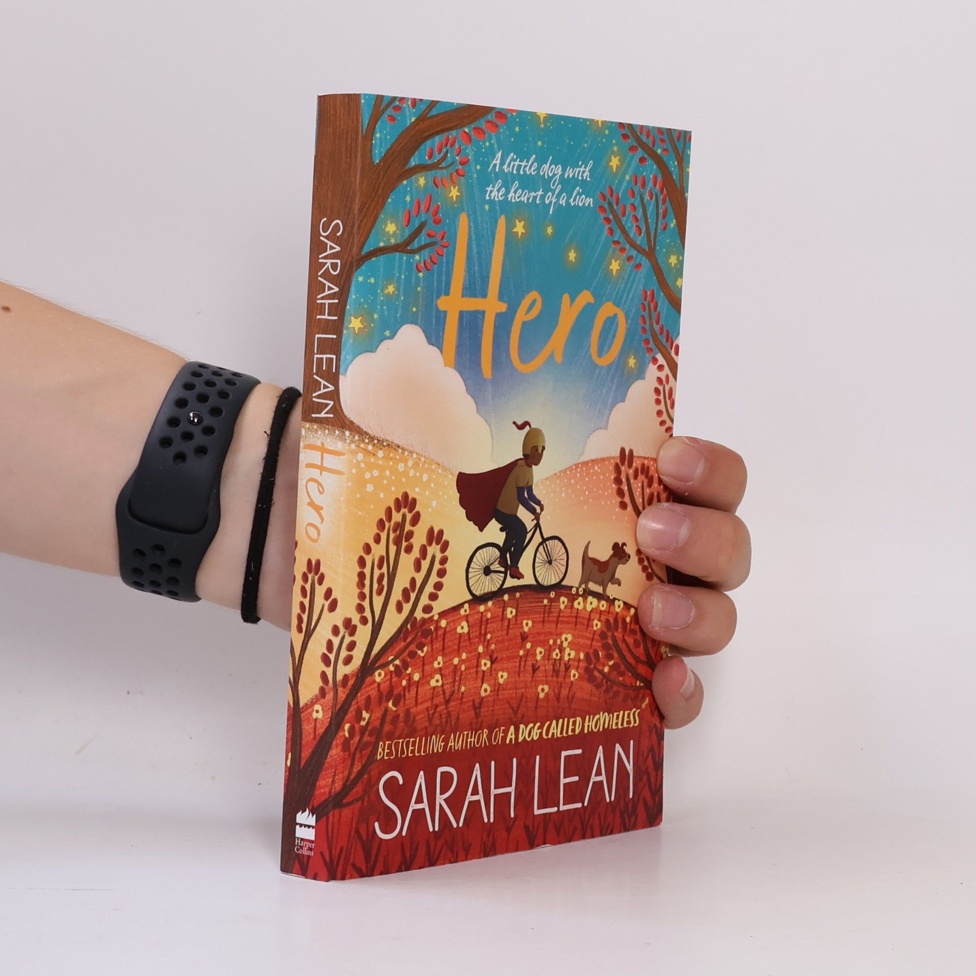 Sarah Lean Hero