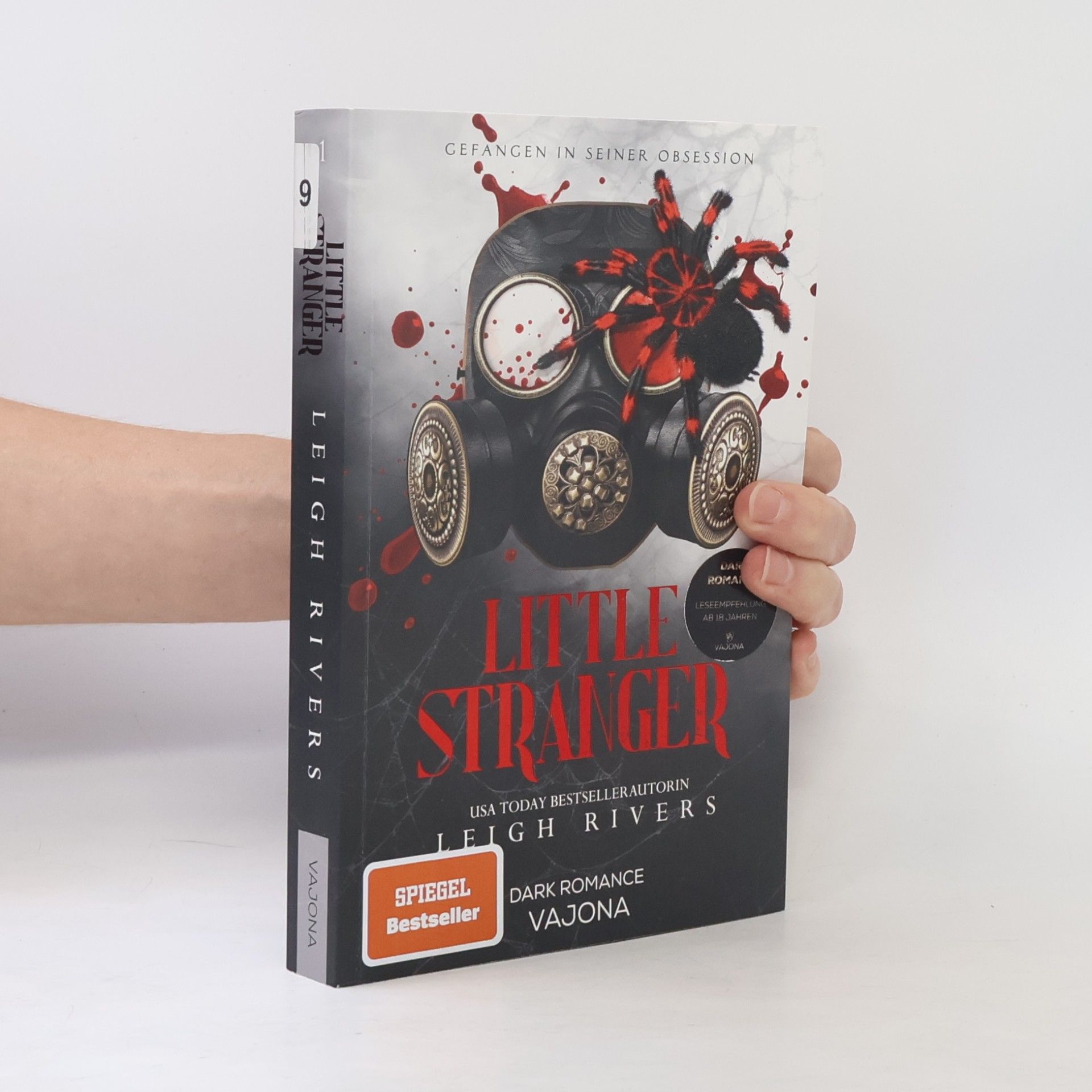 Leigh Rivers Little Stranger