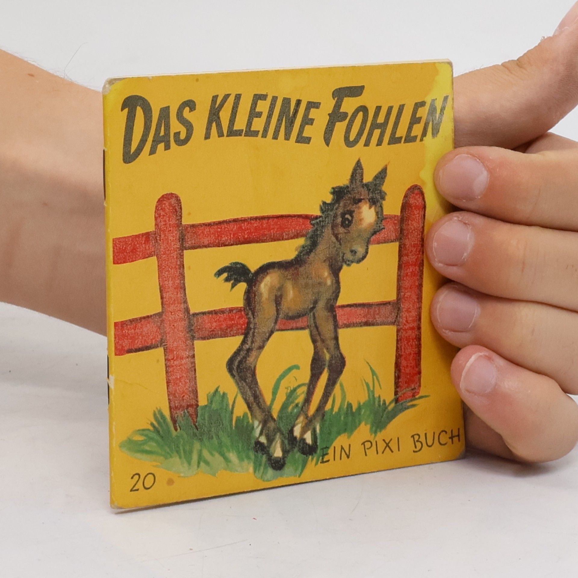 Edith Lowe Das kleine Fohlen