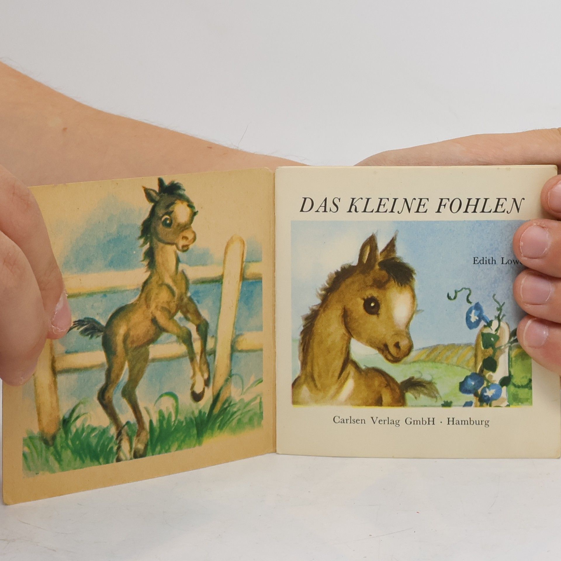 Edith Lowe Das kleine Fohlen