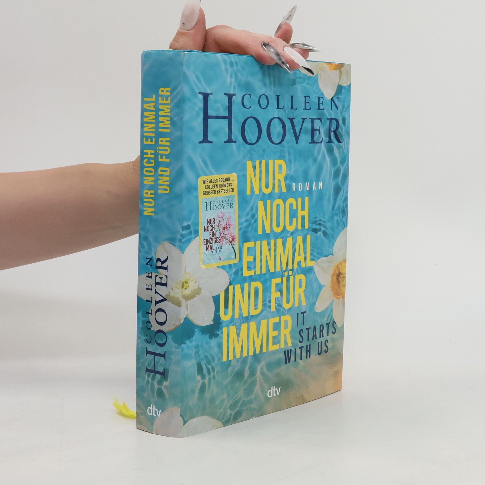 Colleen Hoover Nur noch einmal und für immer