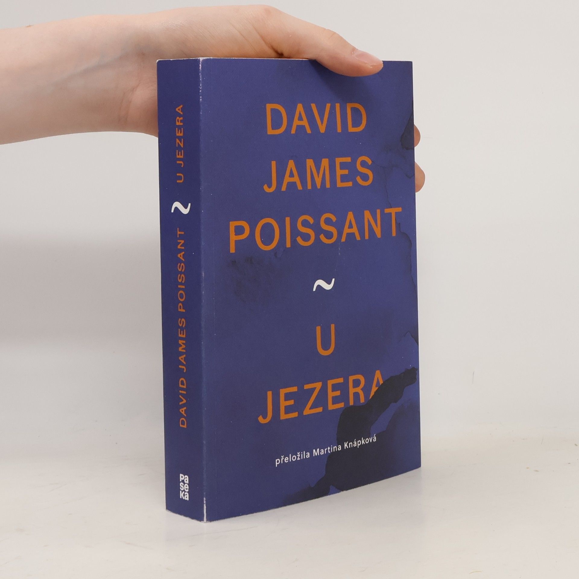 David James Poissant U jezera