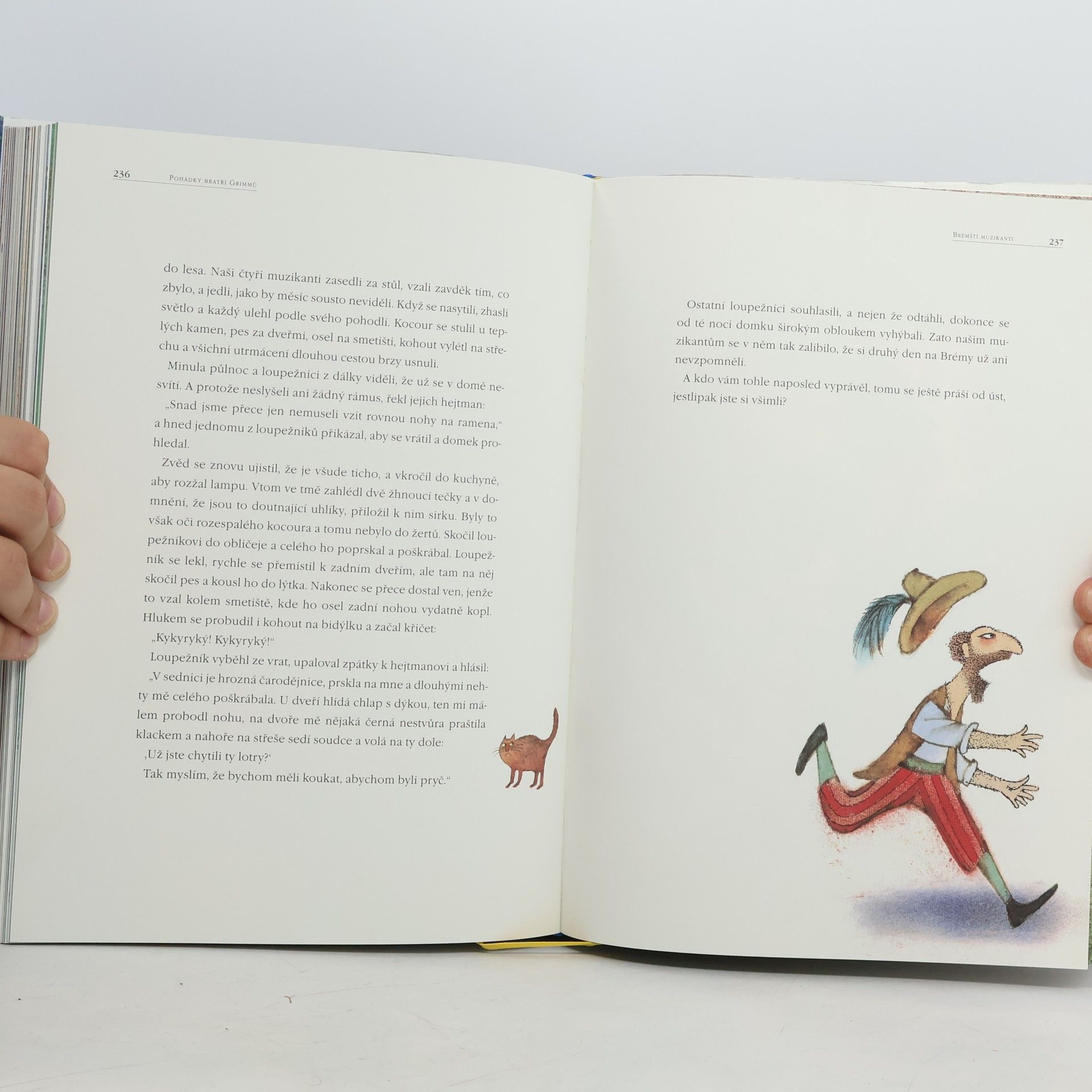 Jacob Grimm Pohádky bratří Grimmů