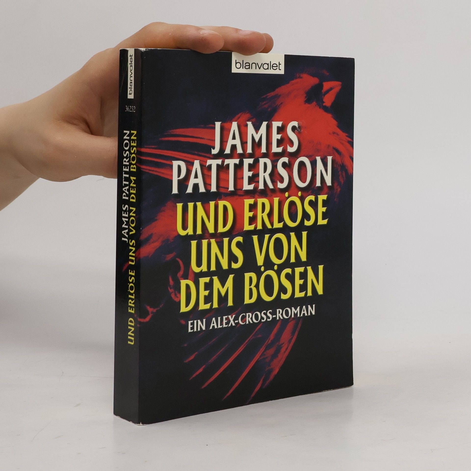 James Patterson Und erlöse uns von dem Bösen - Alex Cross 10