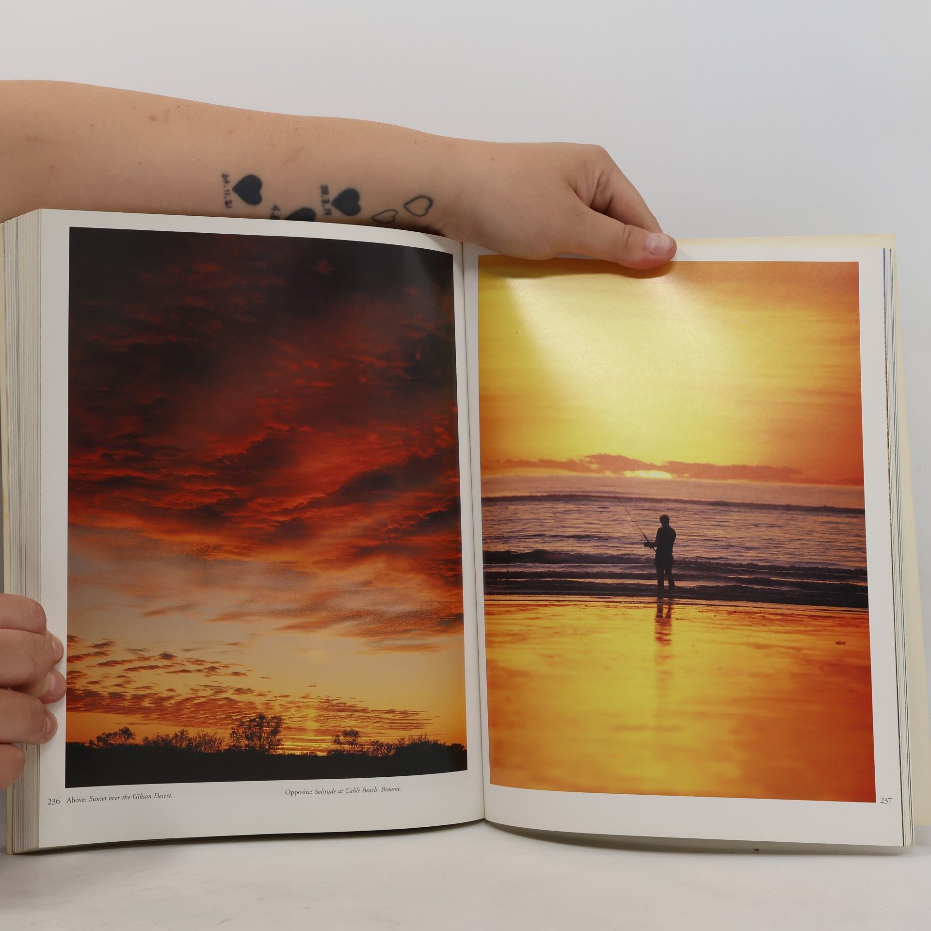 Bruce Elder The Magic of Australia