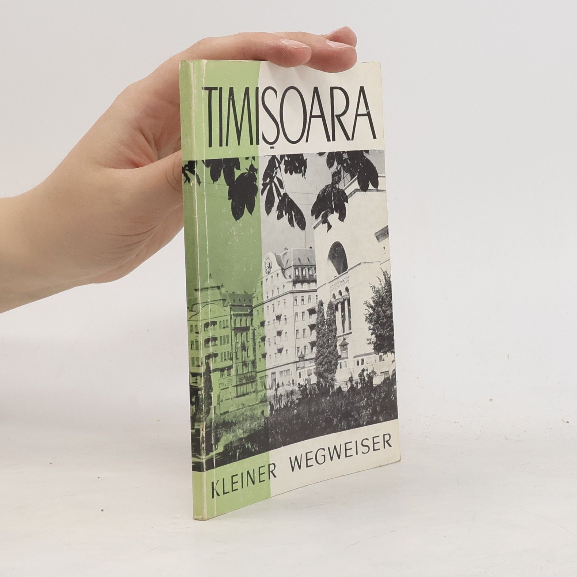 Autorenkollektiv Timisoara