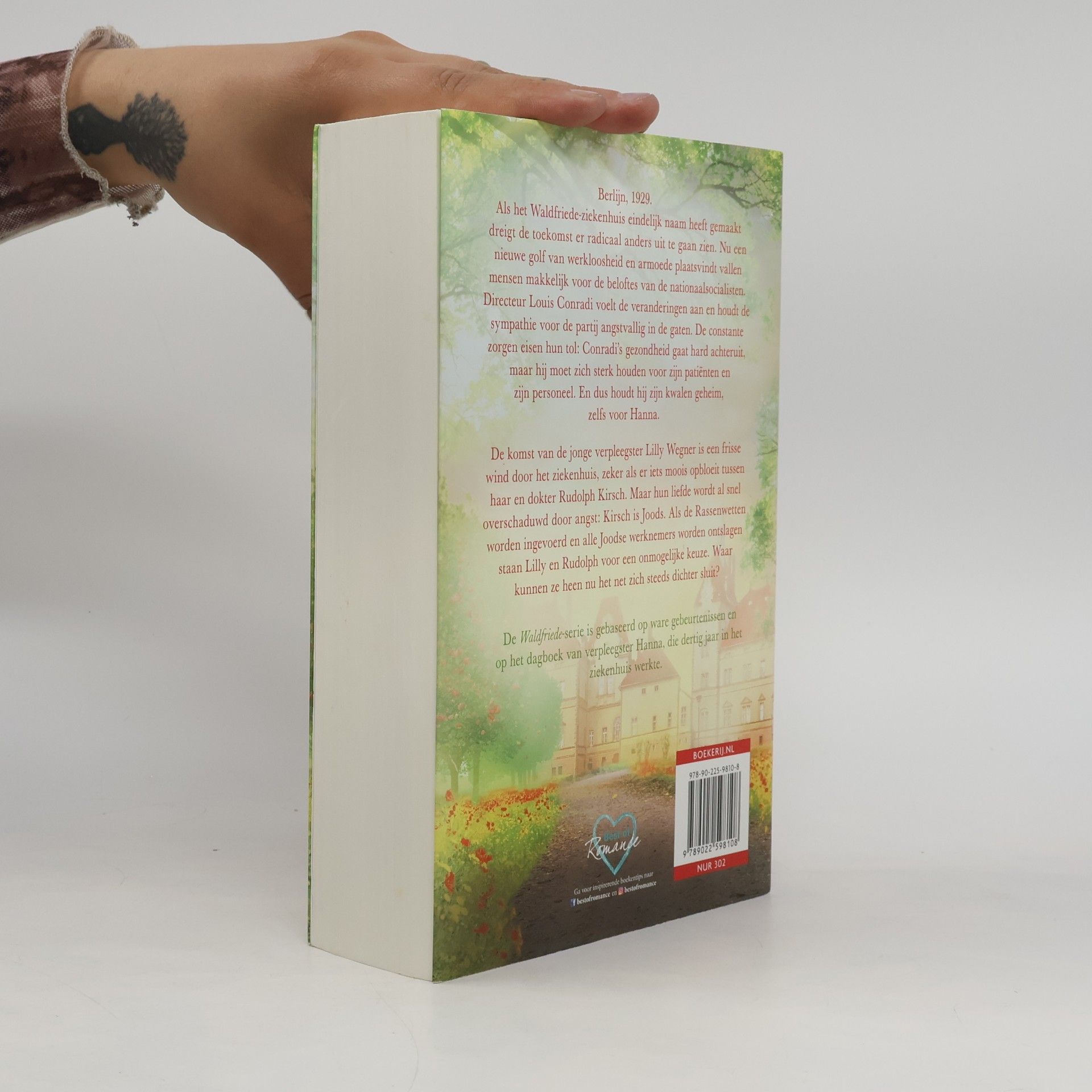 Corina Bomann Waldfriede-serie - 2: Lichtpunt