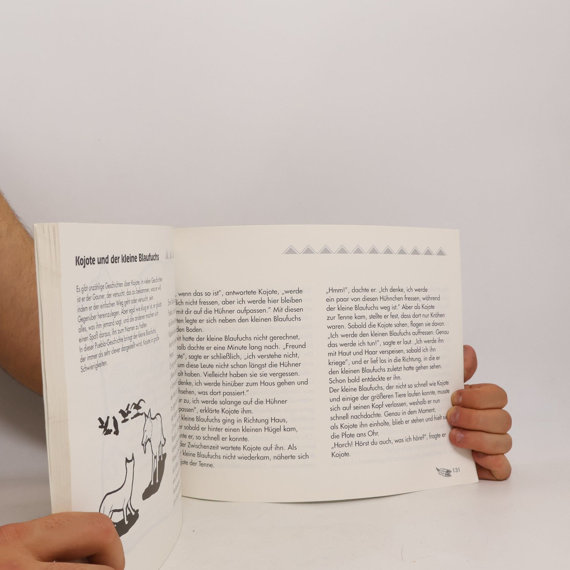 Mari Lu Robbins Das Indianerbuch